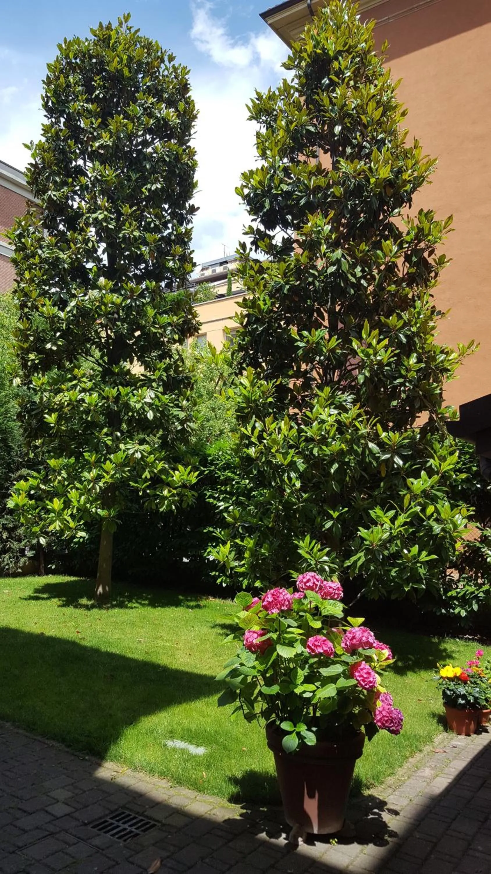 Garden in La Magnolia B&B