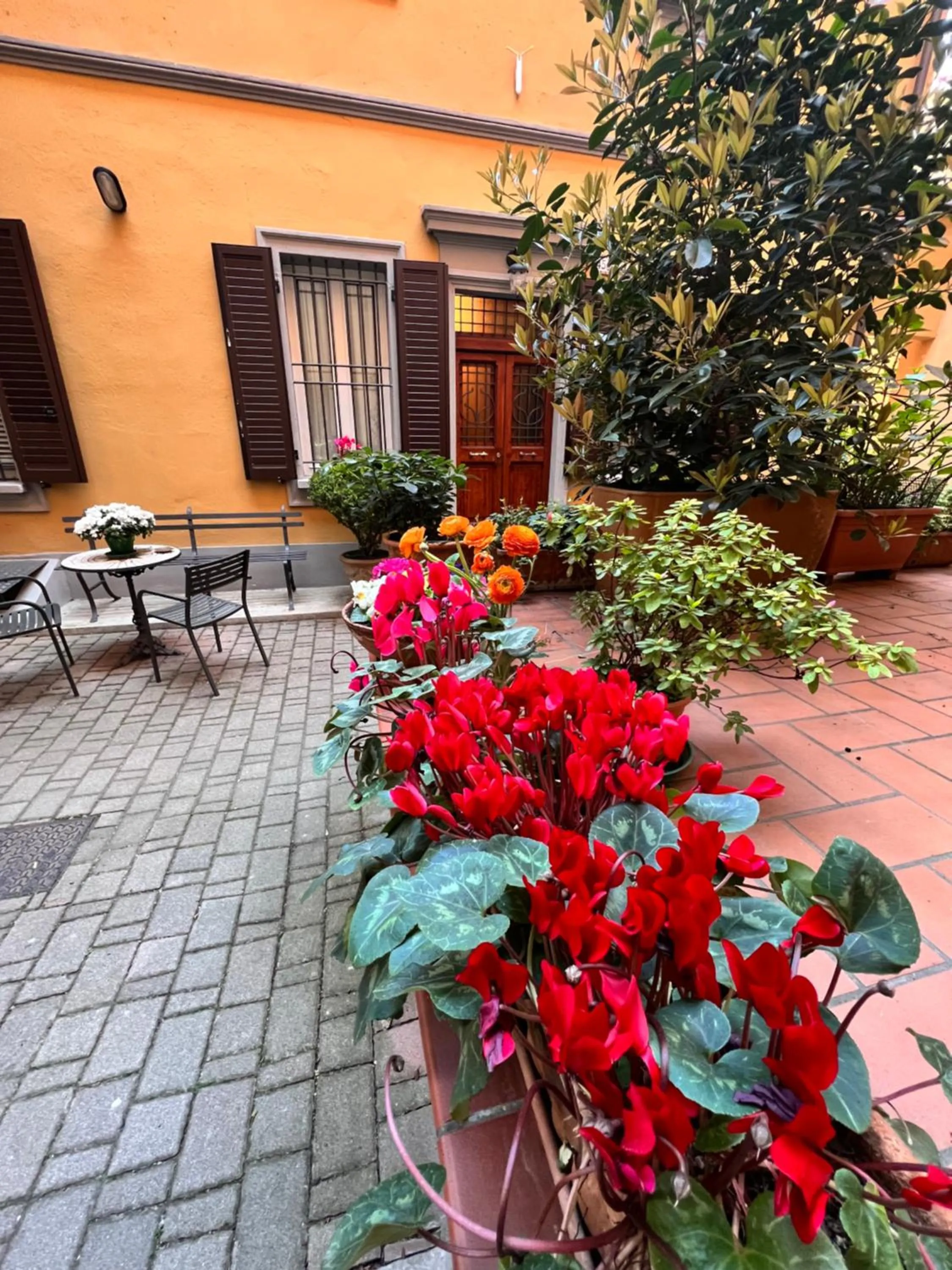 Garden in La Magnolia B&B