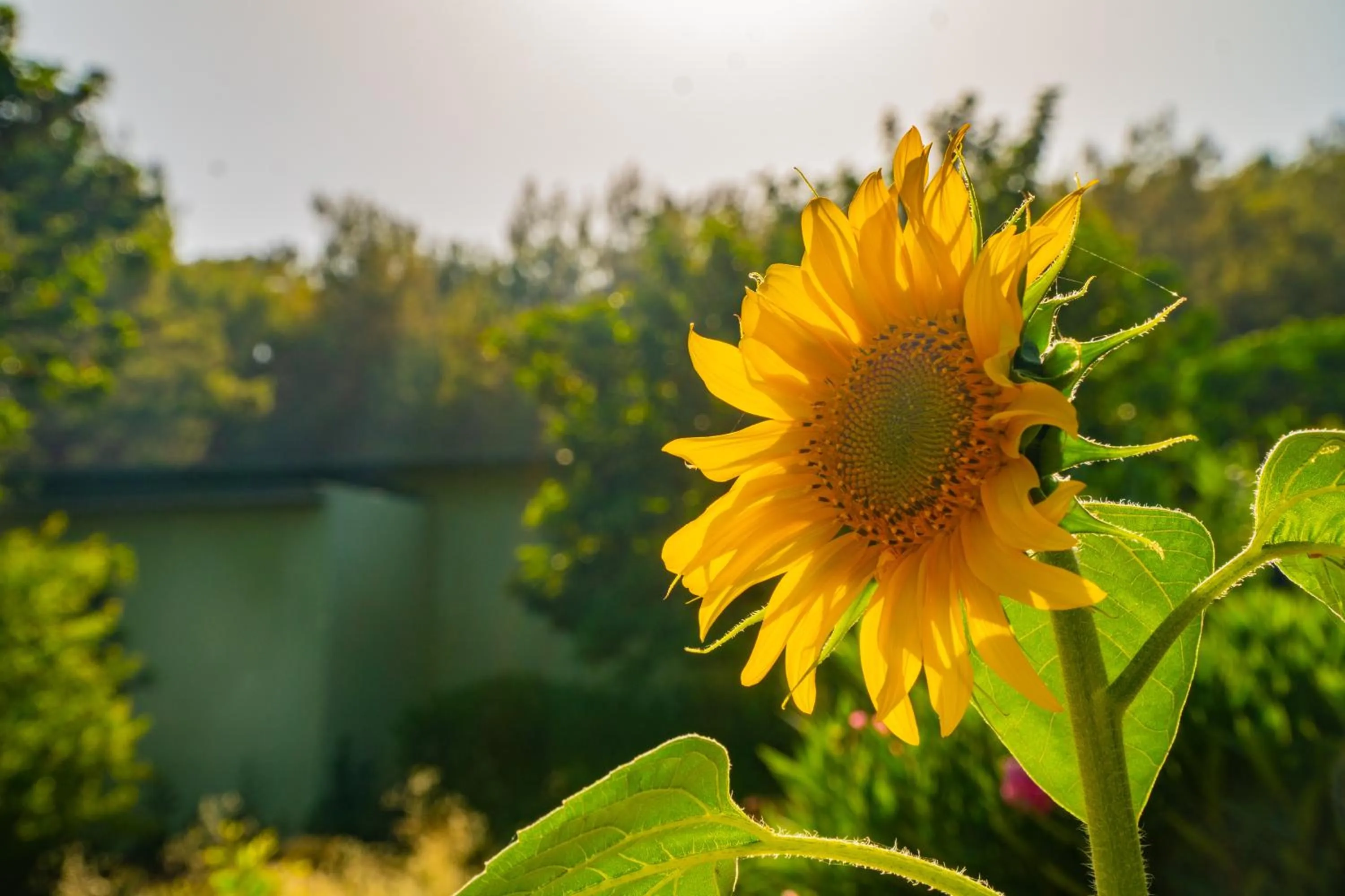 Garden view in Senza Garden Holiday Club - Ultra All Inclusive