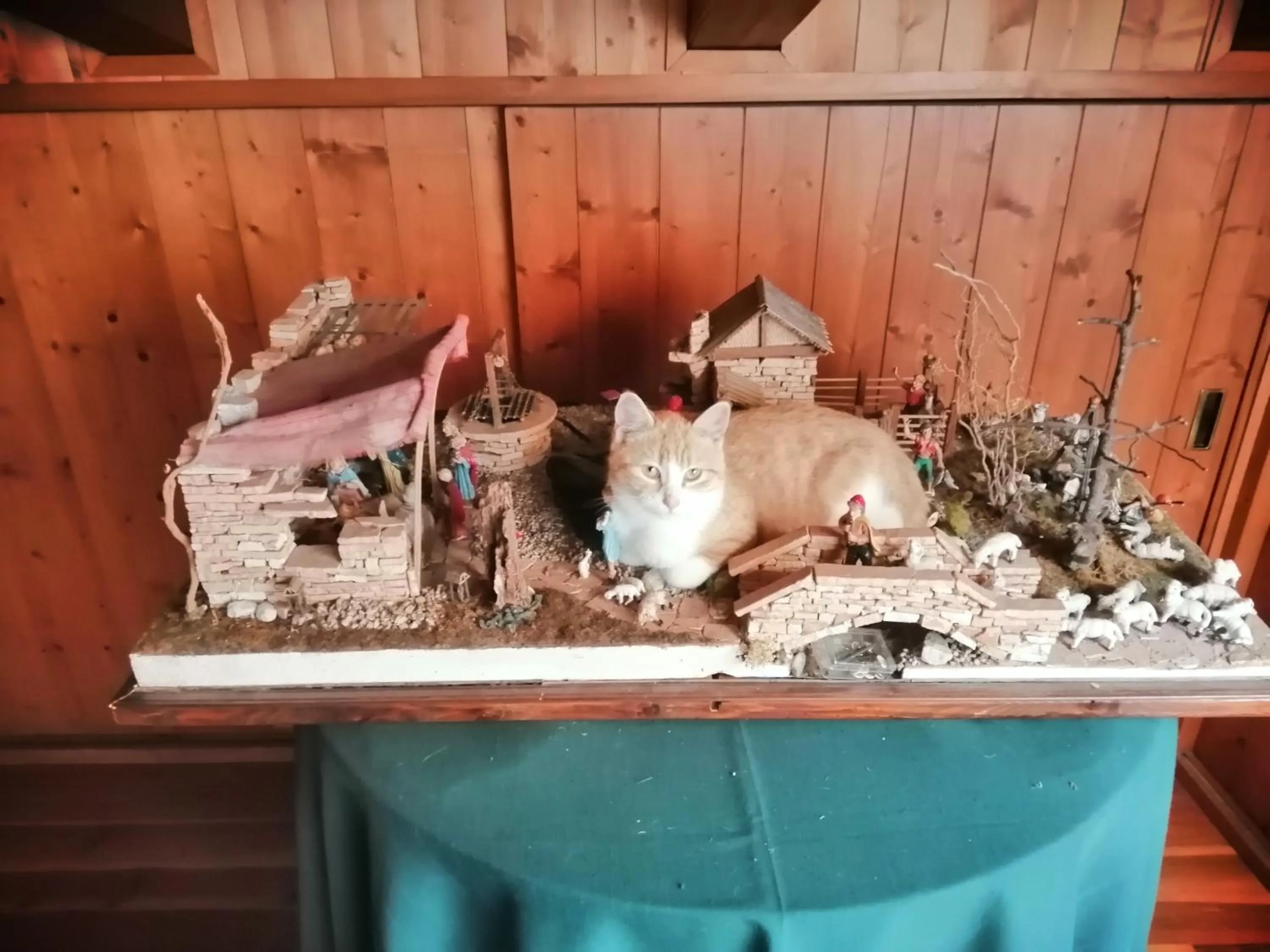 Pets in B&B da Paolo con vista Lago di Garda