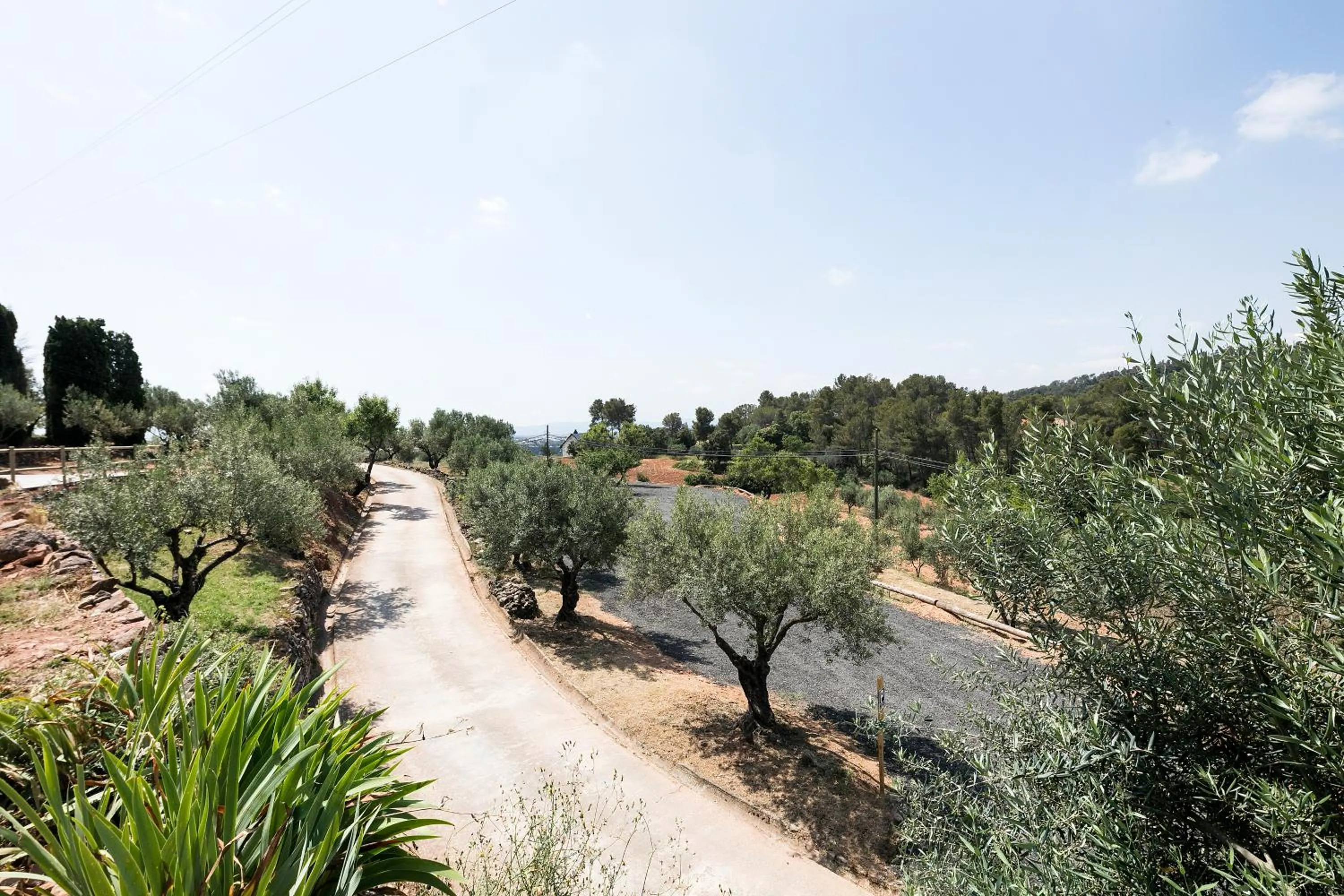 Natural landscape in Can Borrell