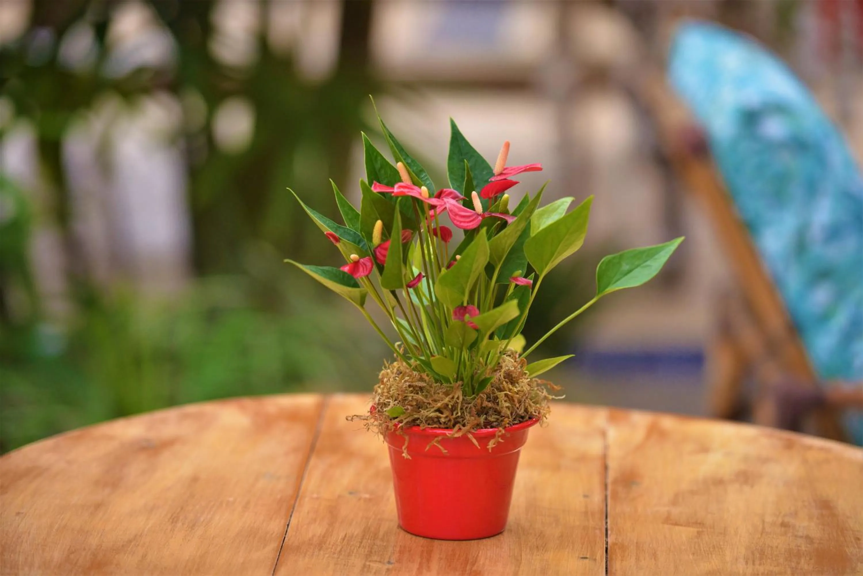 Property building in Hotel Ferrugem Eco Village