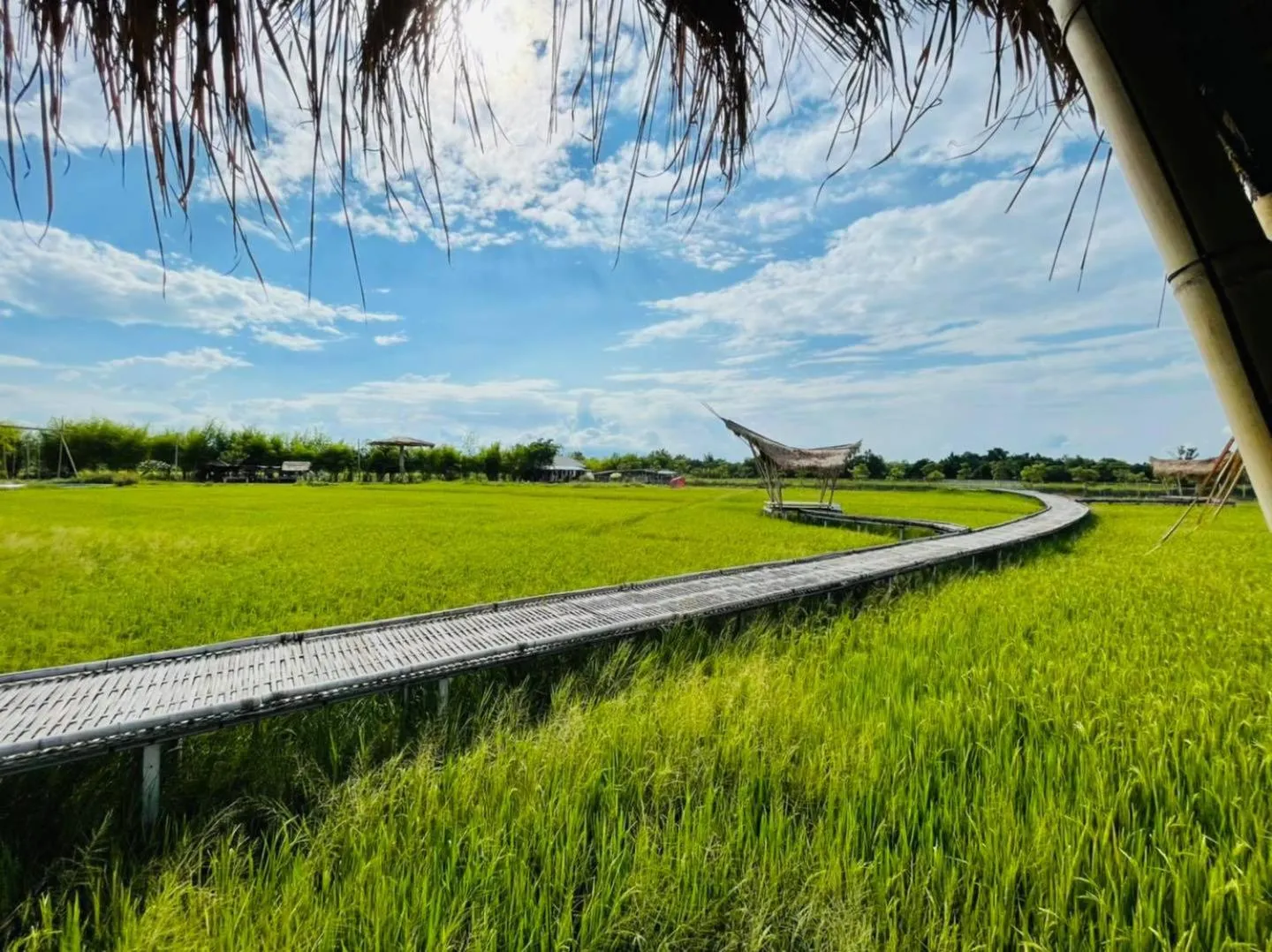 Chapulin Natural Resort