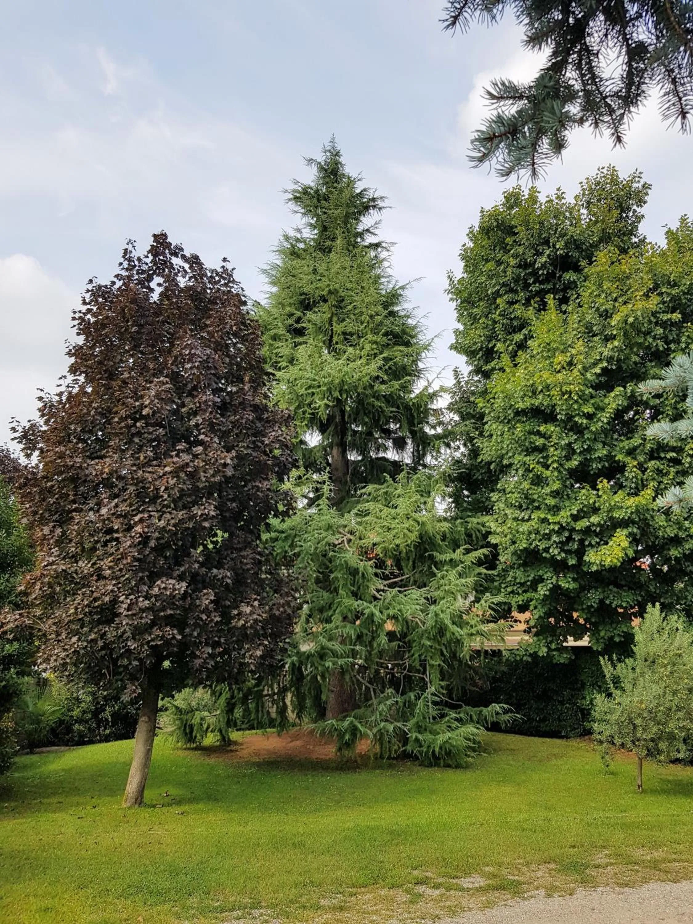 Garden view in il nido della dani