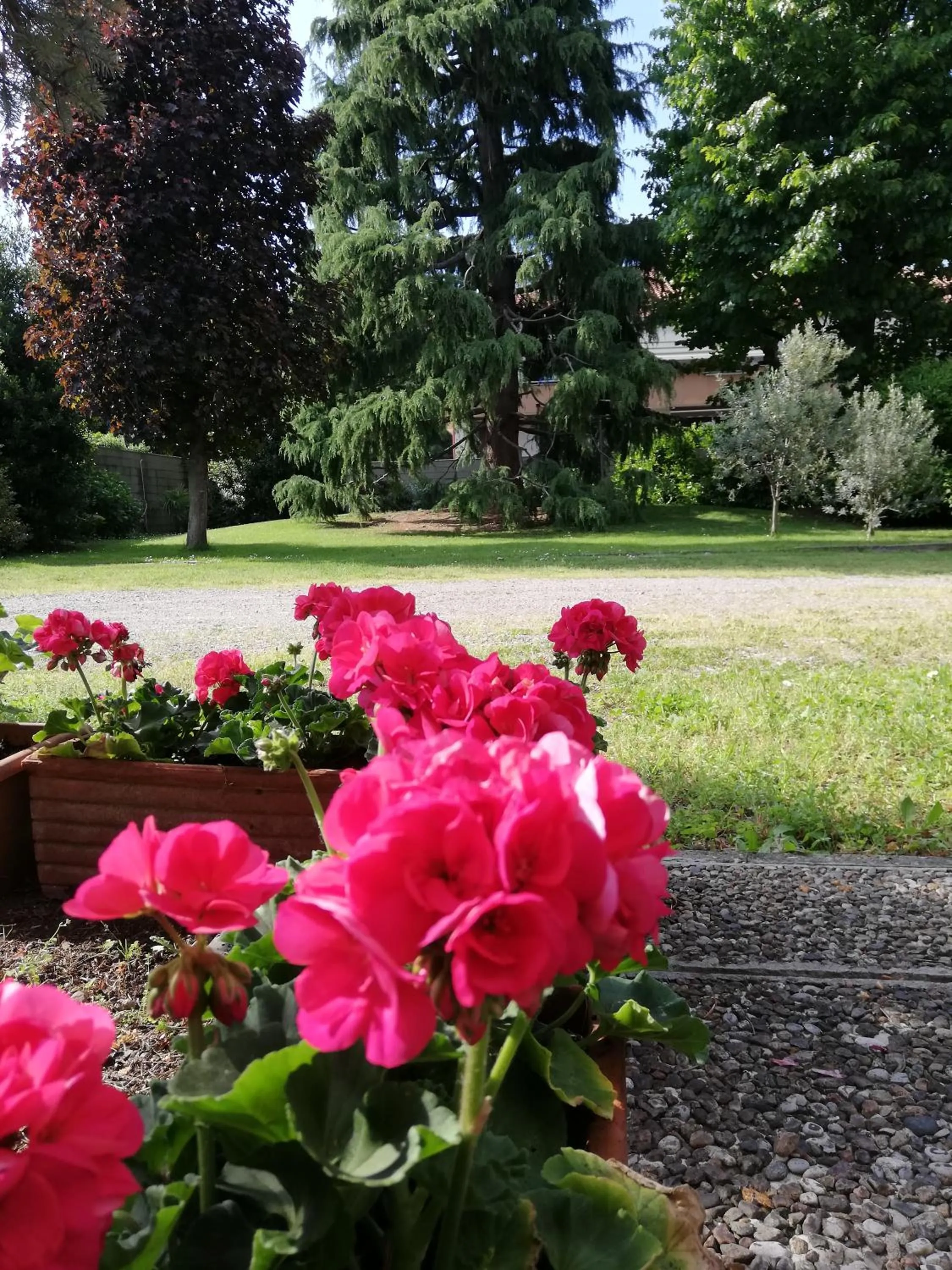 Floor plan in il nido della dani