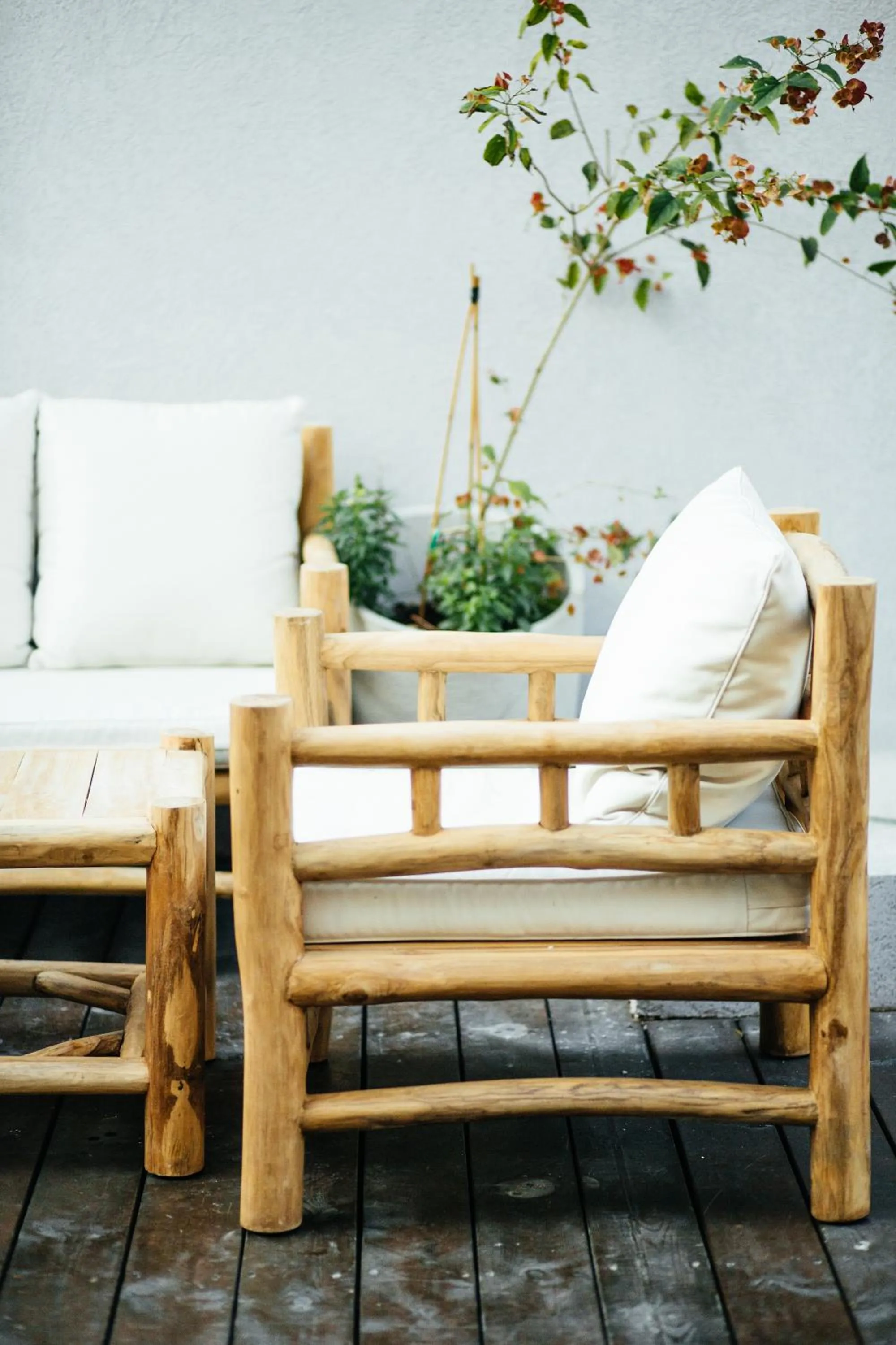 Patio in Domus Bat Galim Hotel