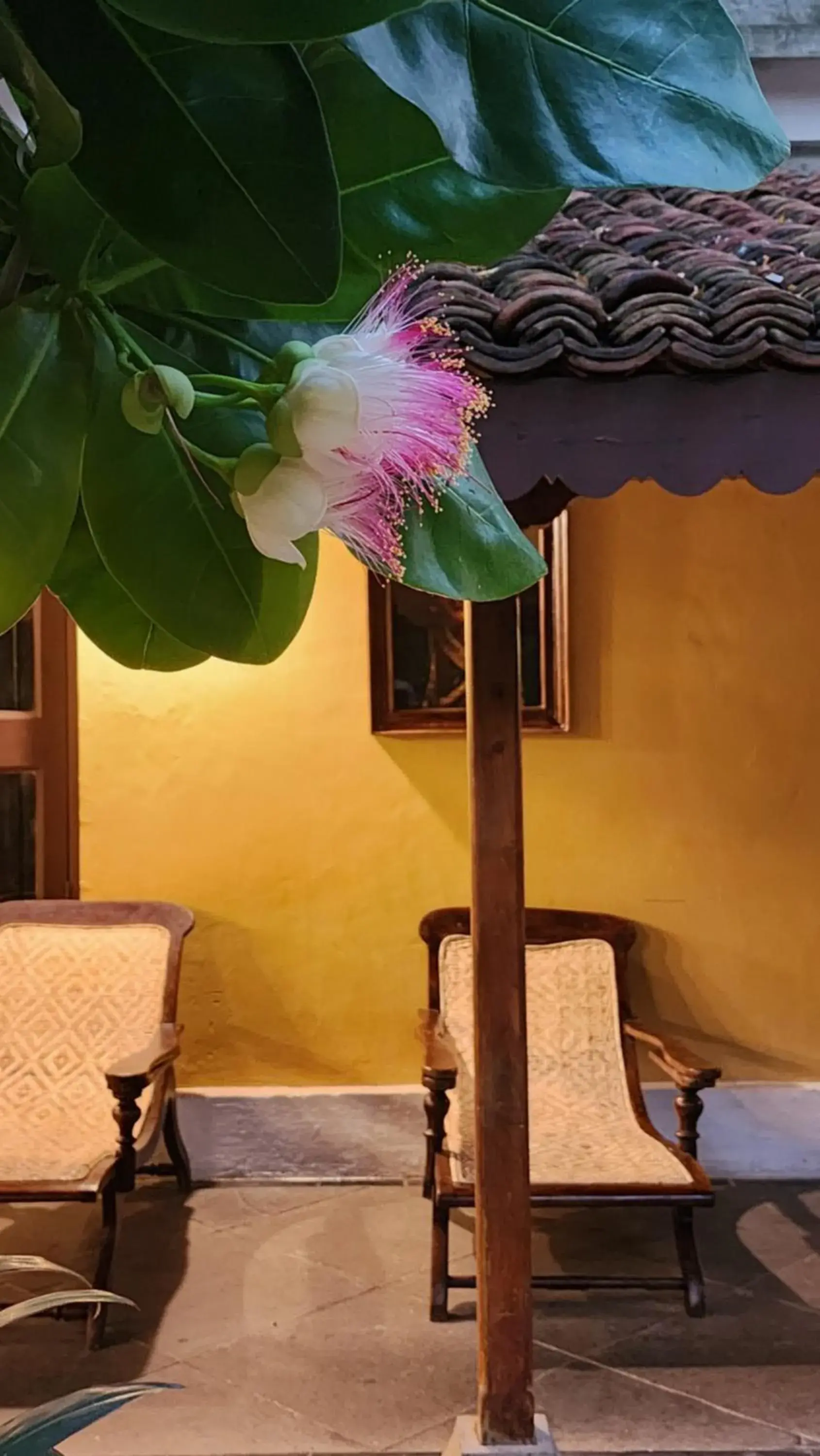 Deluxe King Studio in Kariappa House Deluxe King Studio in Kariappa House
