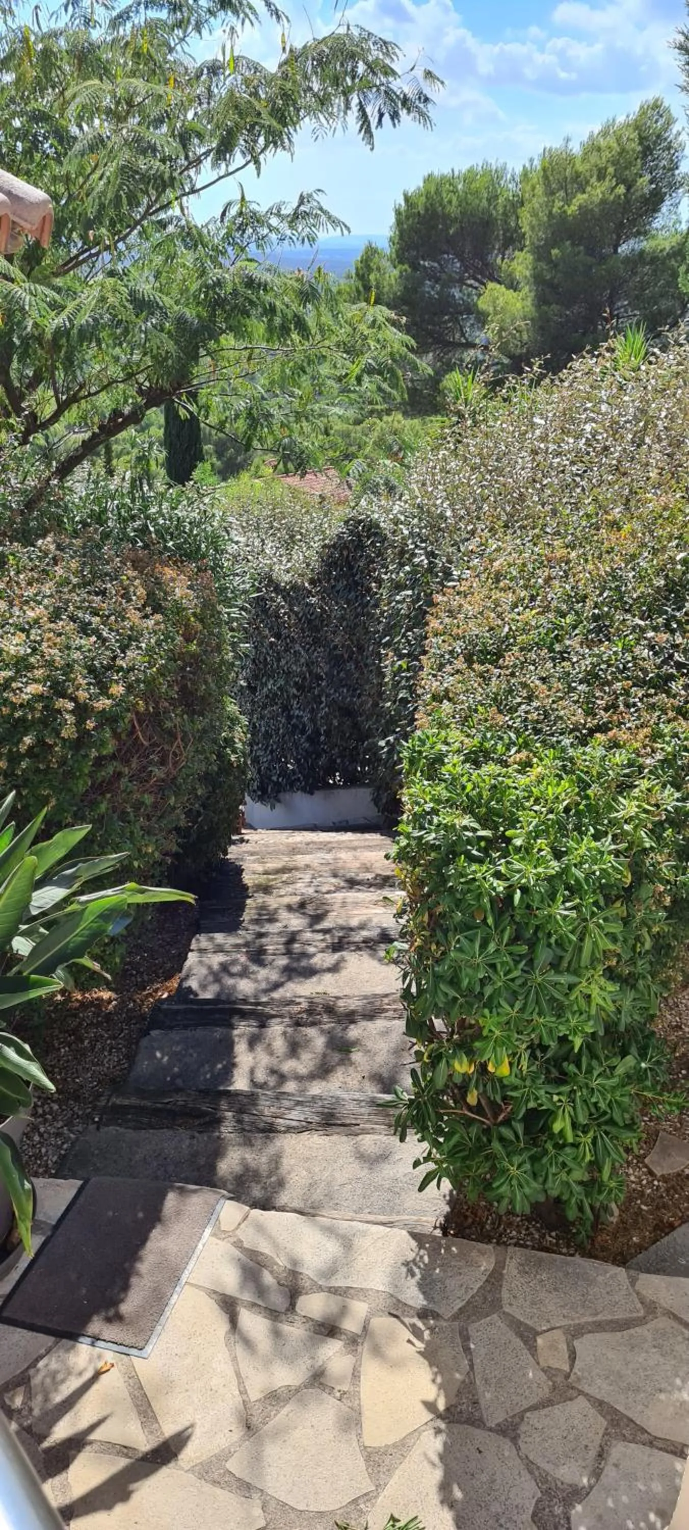 Garden in Corniche du Paradis