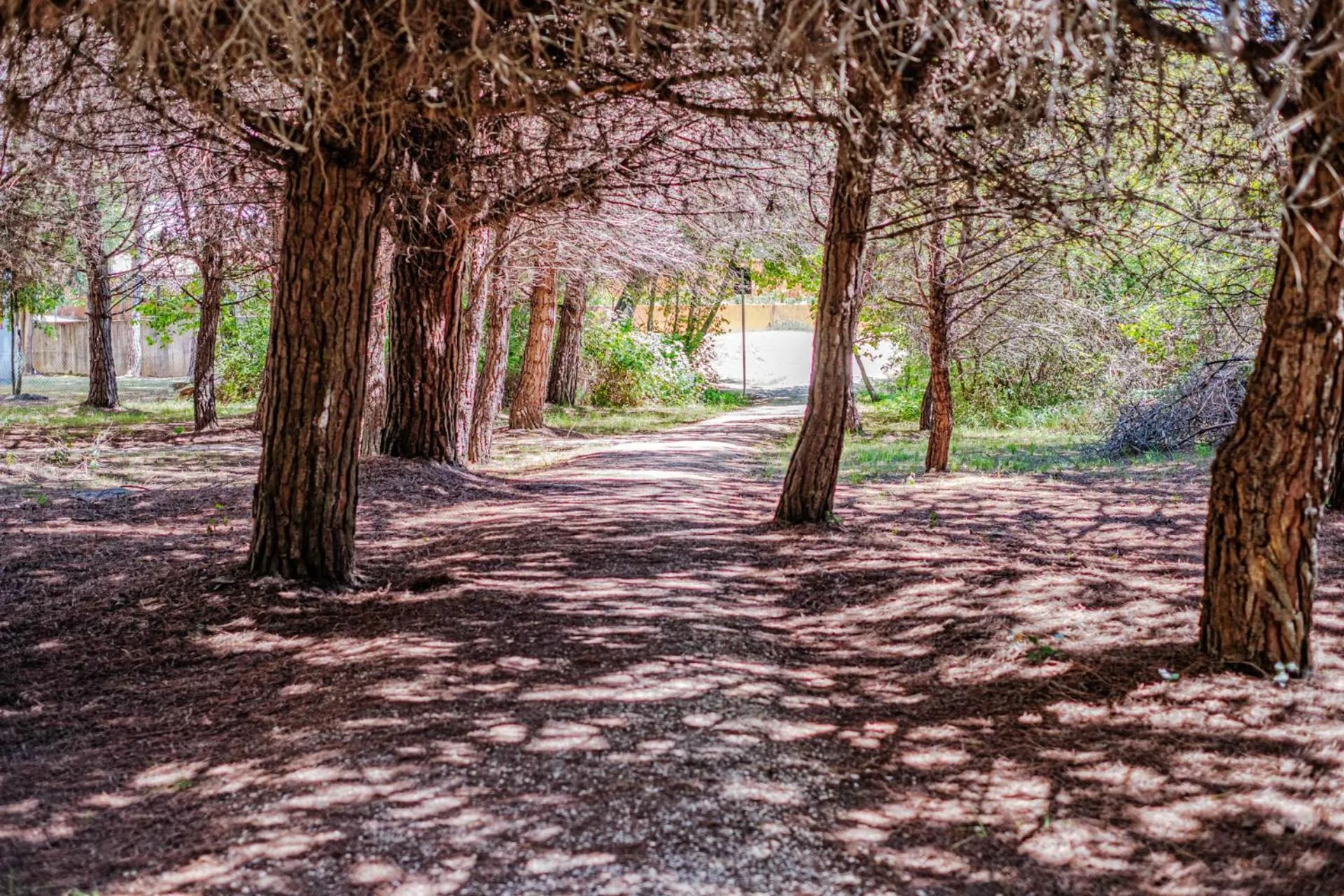 Bosco Canoro Bibione Resort