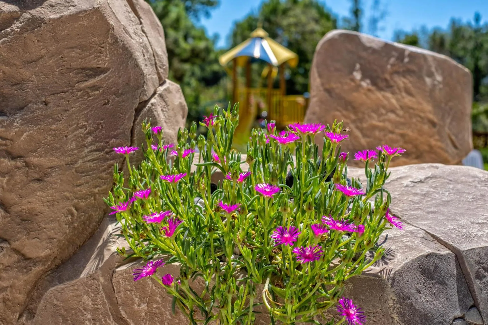 Bosco Canoro Bibione Resort