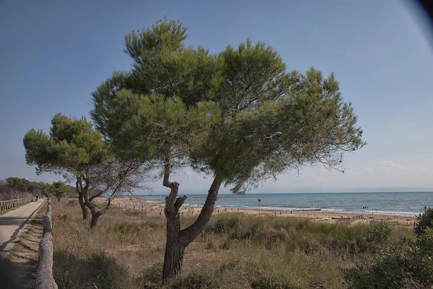 Spring in Bosco Canoro Bibione Resort