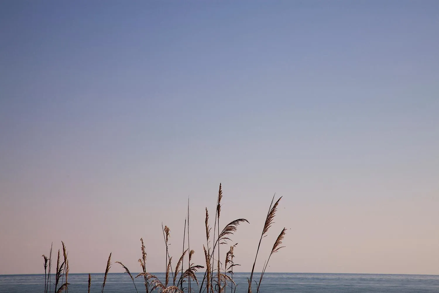 Nearby landmark in Bosco Canoro Bibione Resort