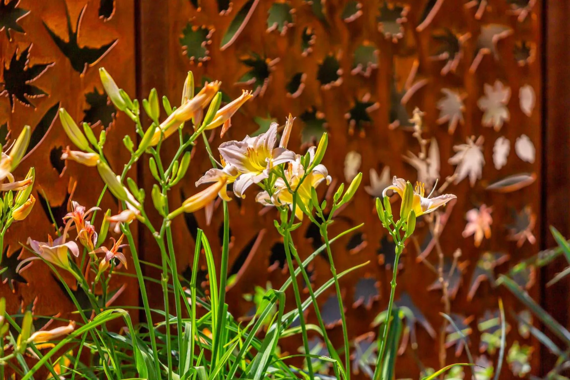 Bosco Canoro Bibione Resort