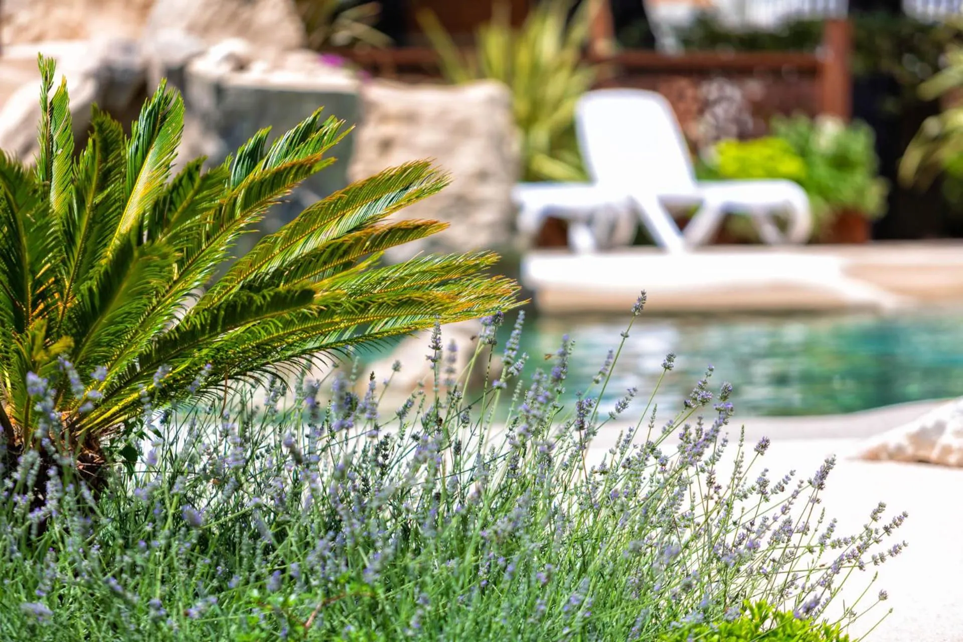 Bosco Canoro Bibione Resort