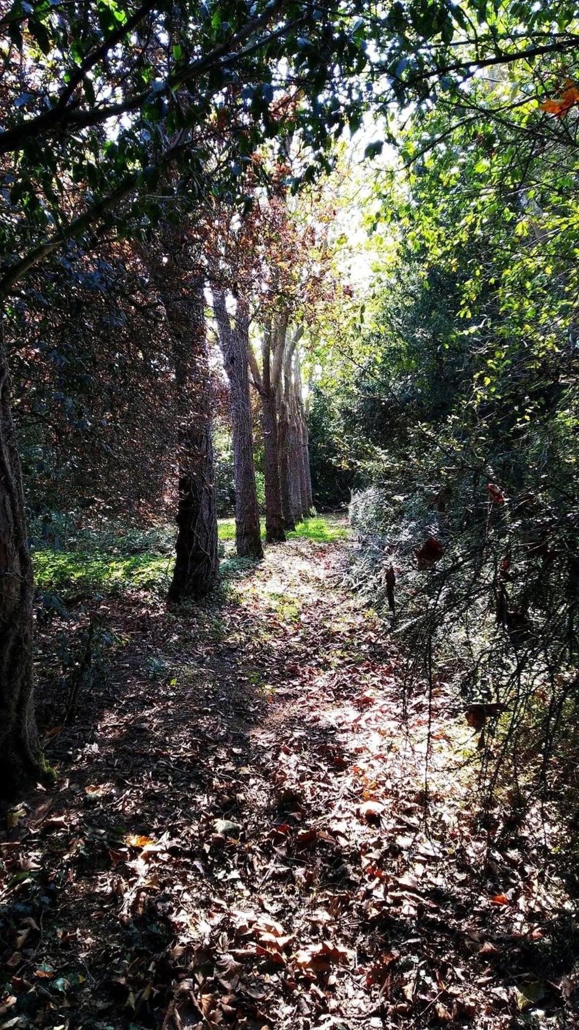 KastellRen - Rennes - Grand parking privé