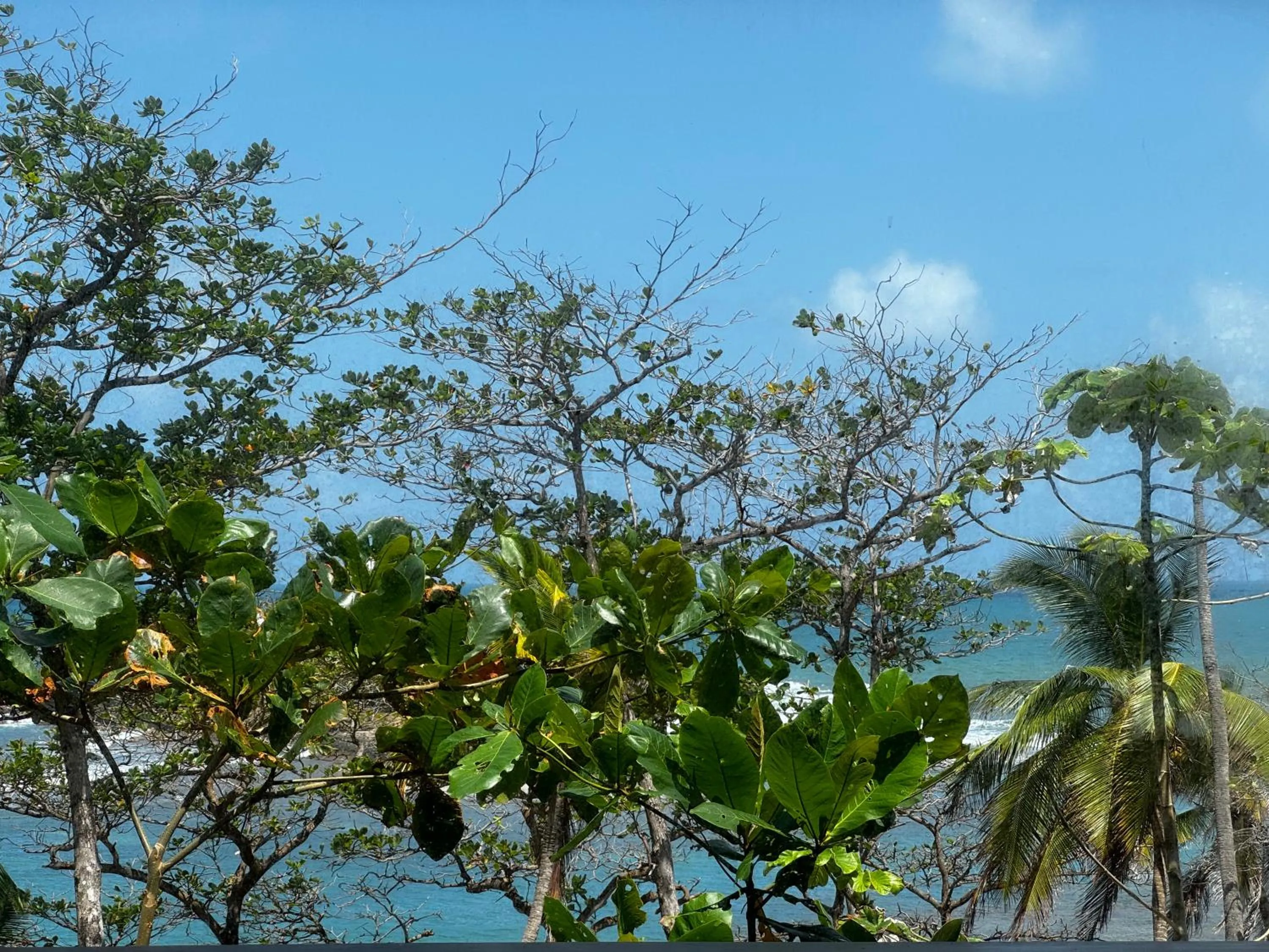 Natural landscape in Ciel y Miel