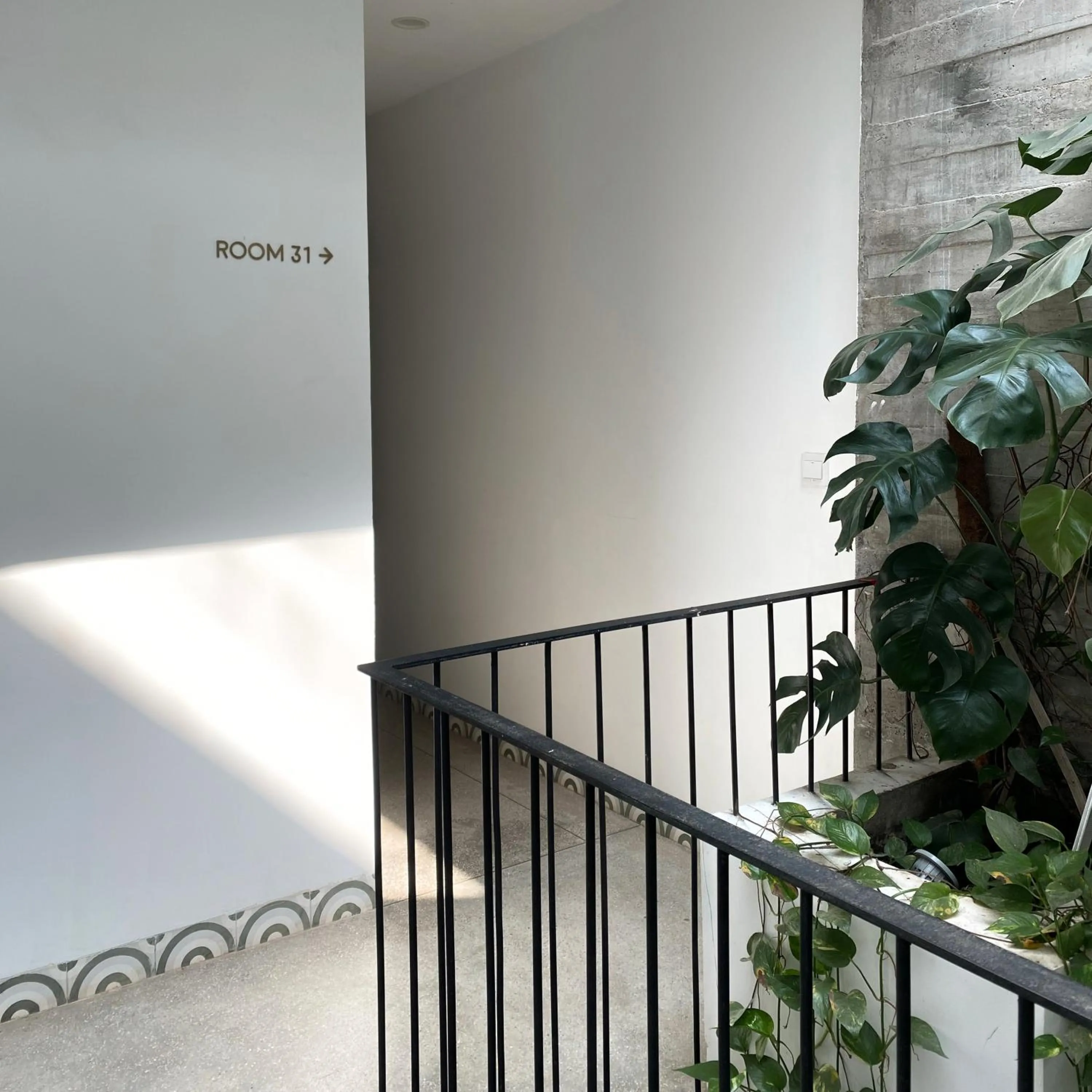 Patio in Aborest Tropical Hostel