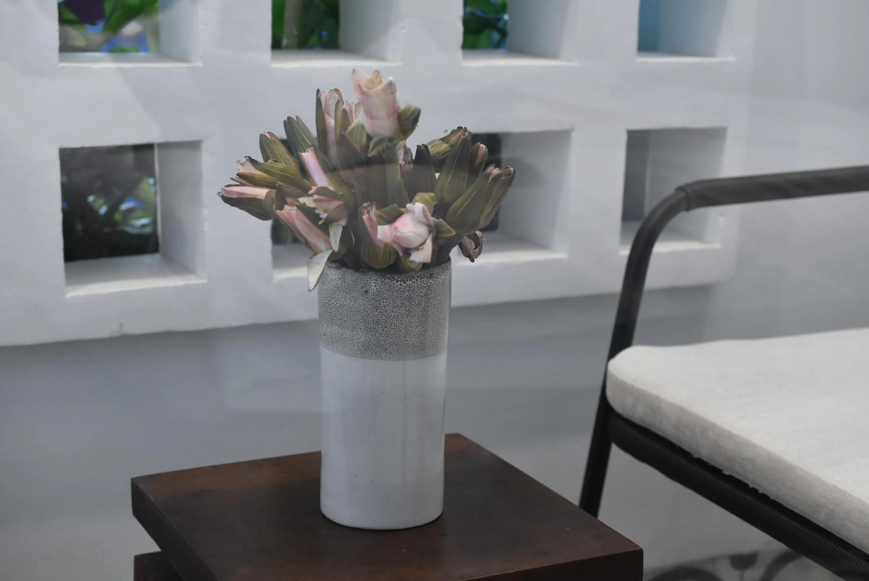 Balcony/Terrace in Aborest Tropical Hostel