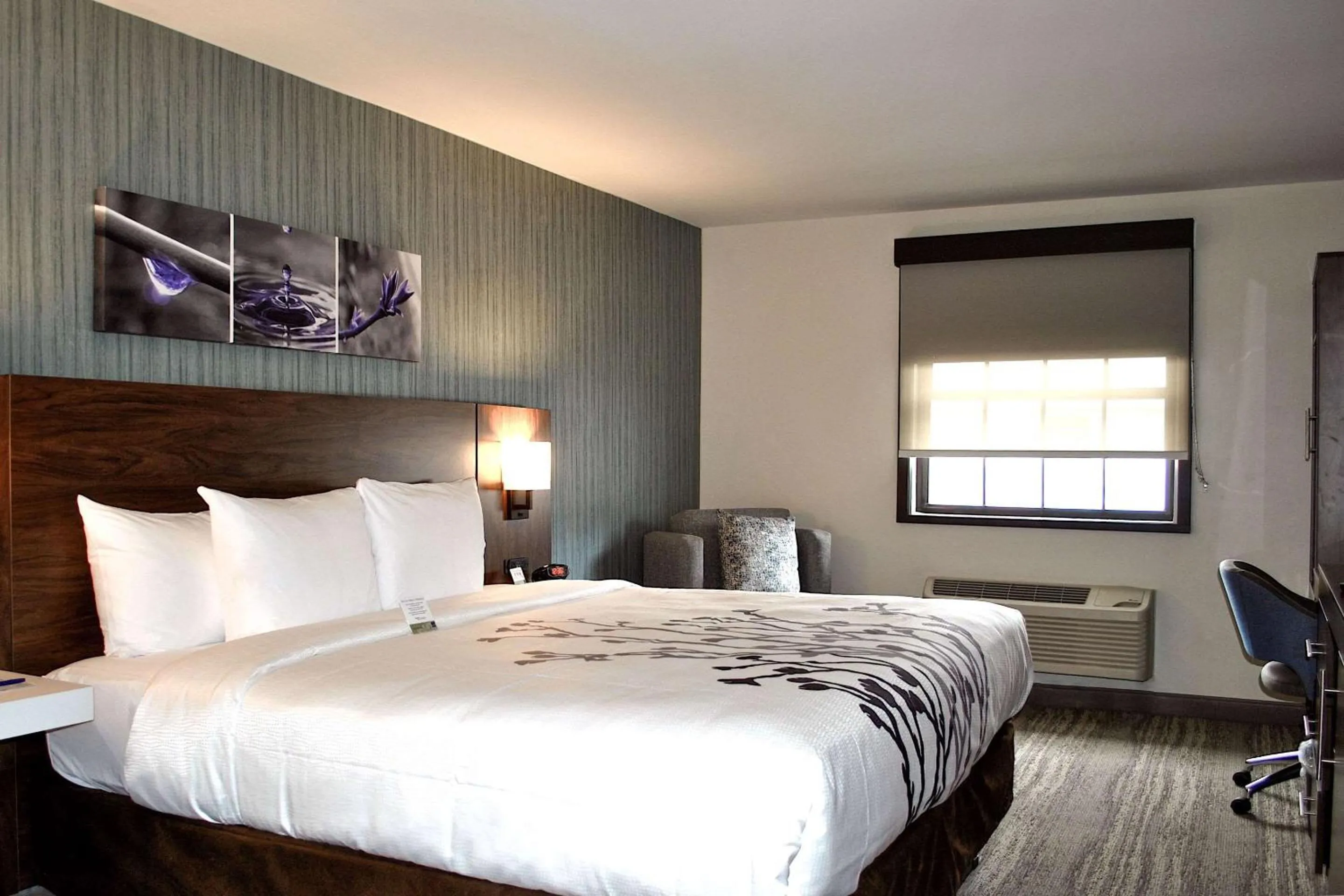 Bedroom, Bed in Sleep Inn Oakbrook Terrace - Chicago