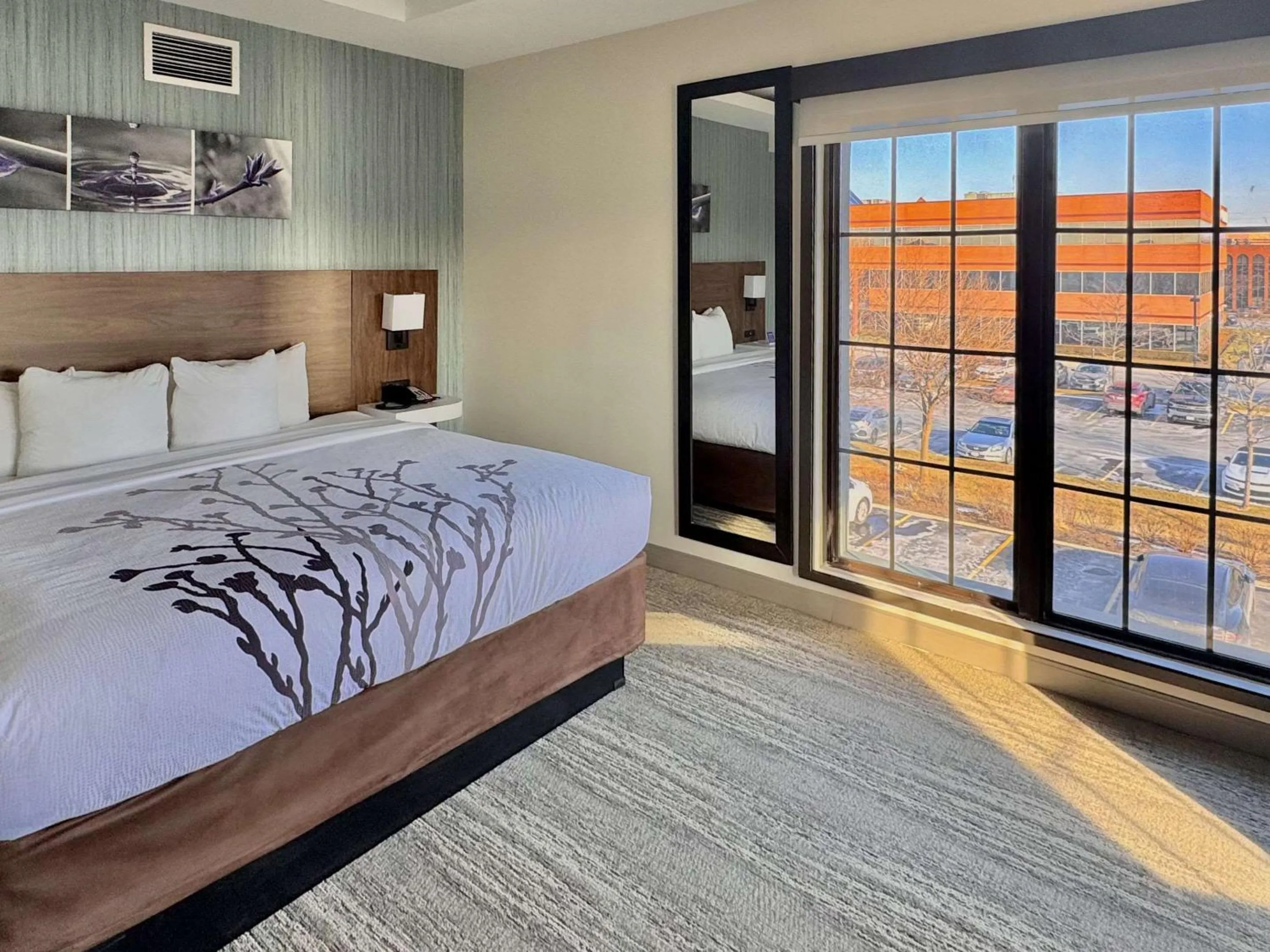 Bedroom, Bed in Sleep Inn Oakbrook Terrace - Chicago