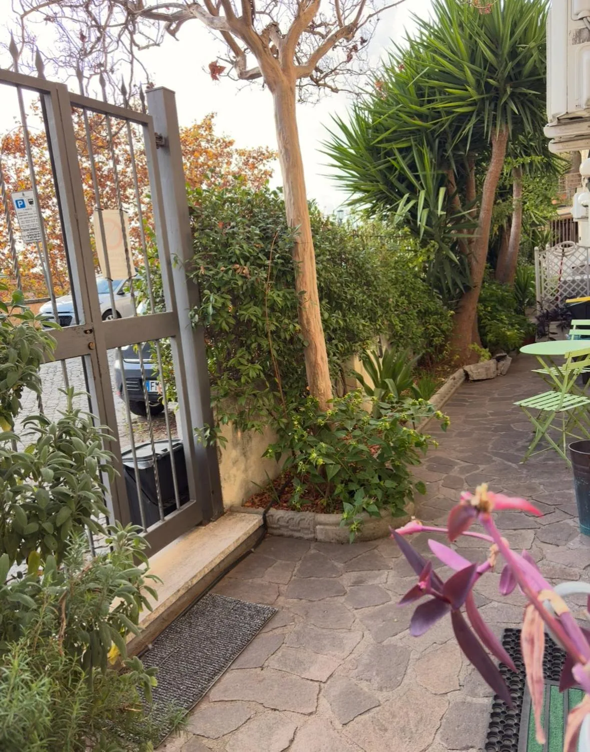 Garden in Marilyn's House 2