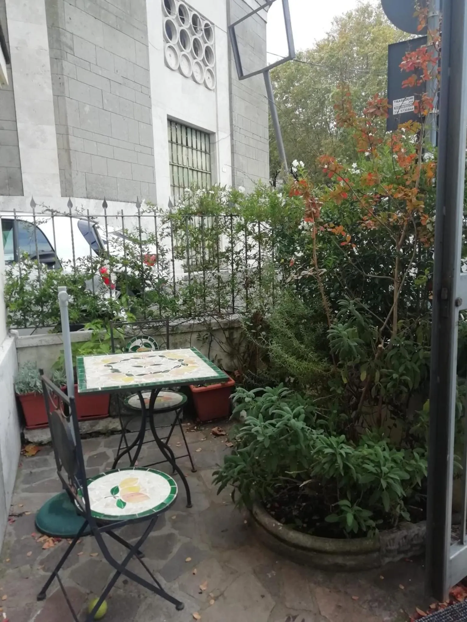 Garden in Marilyn's House 2