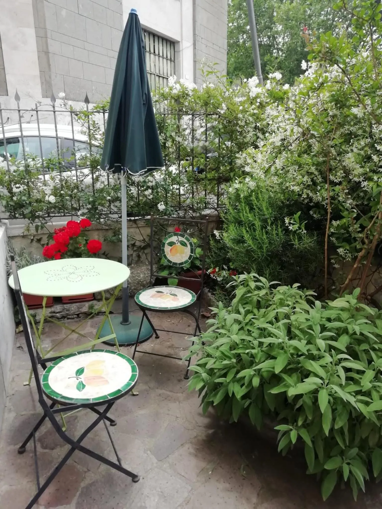 Garden in Marilyn's House 2