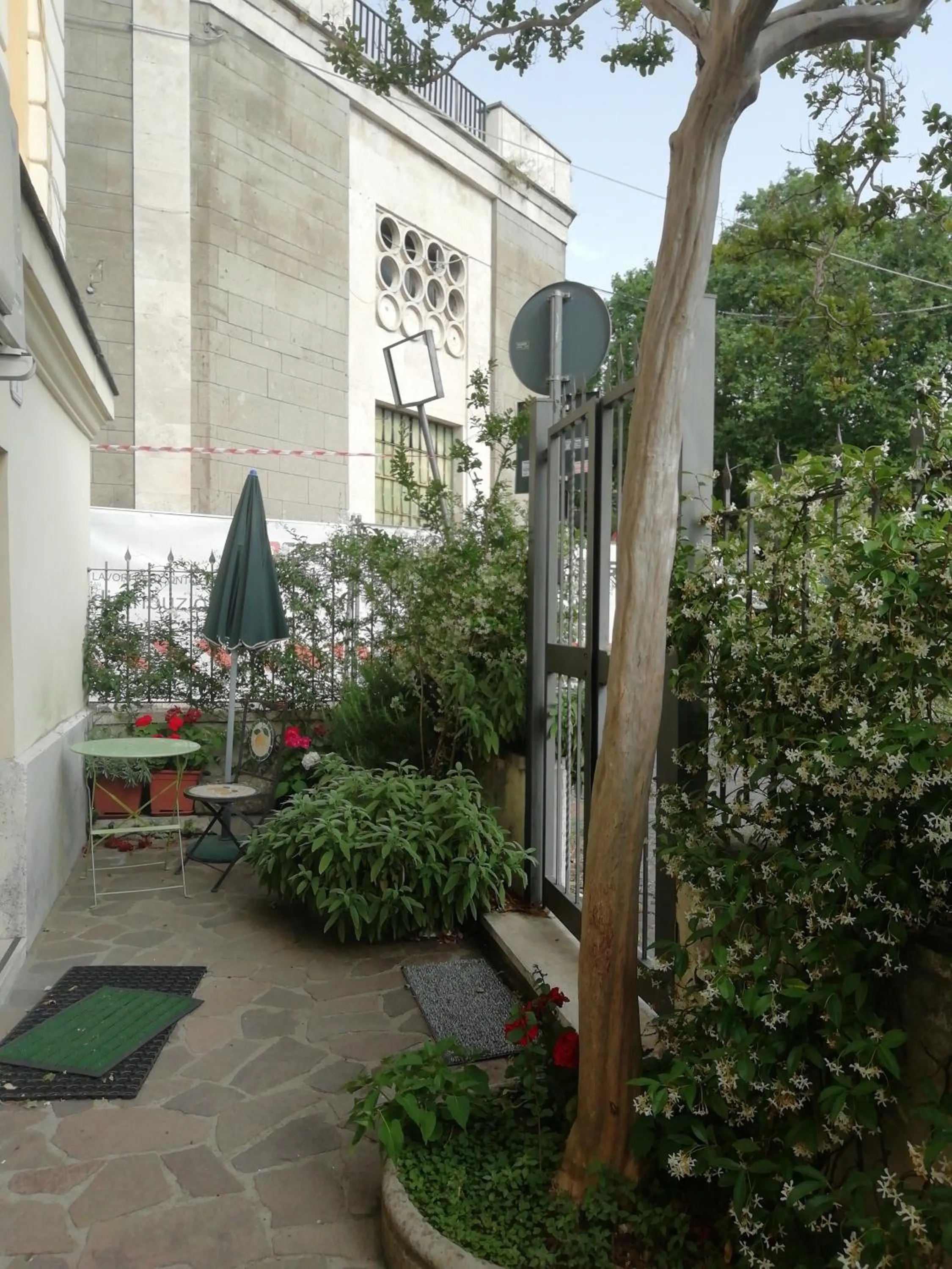 Garden in Marilyn's House 2