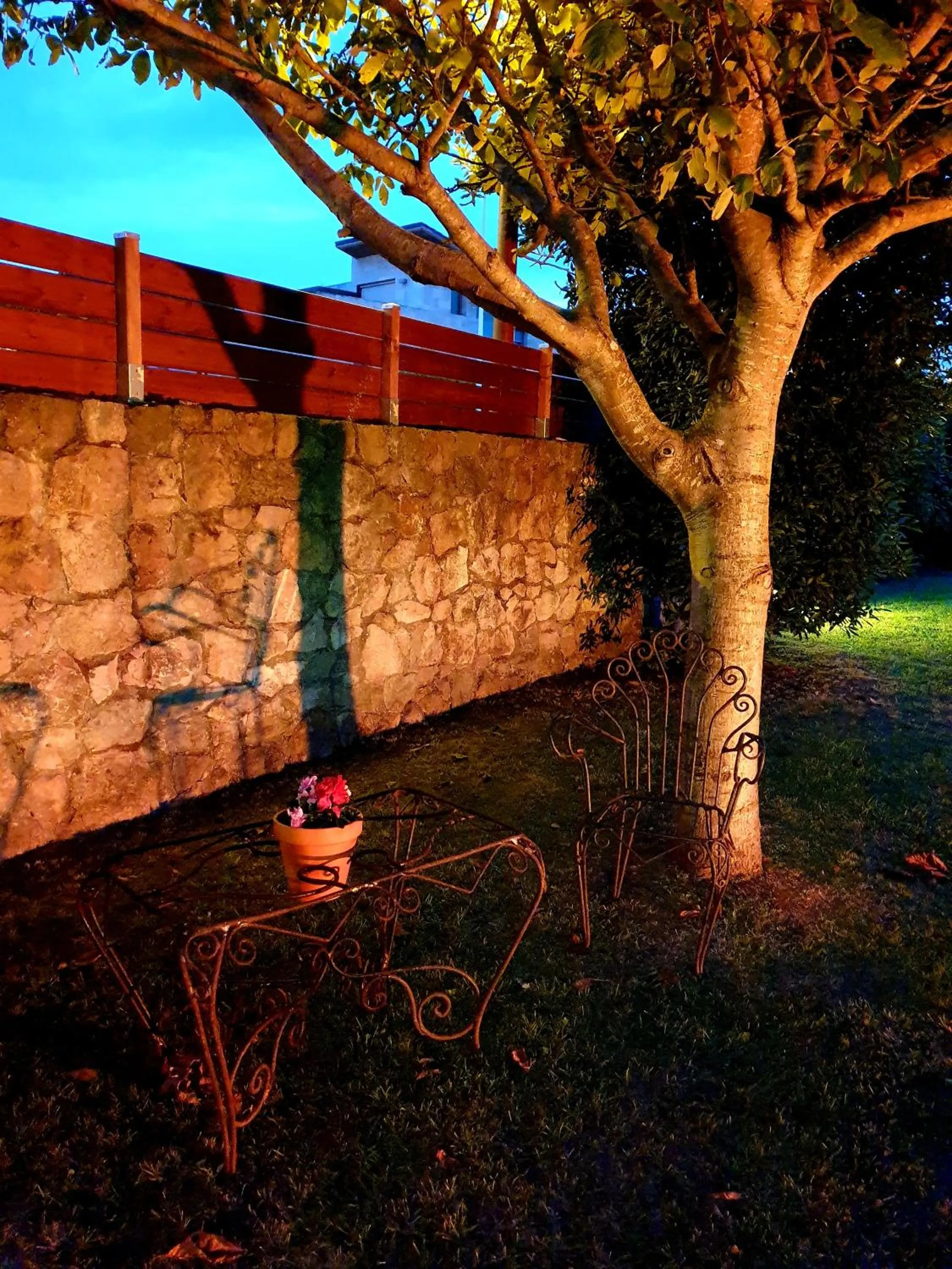 Garden in Hotel Finca Alcamino