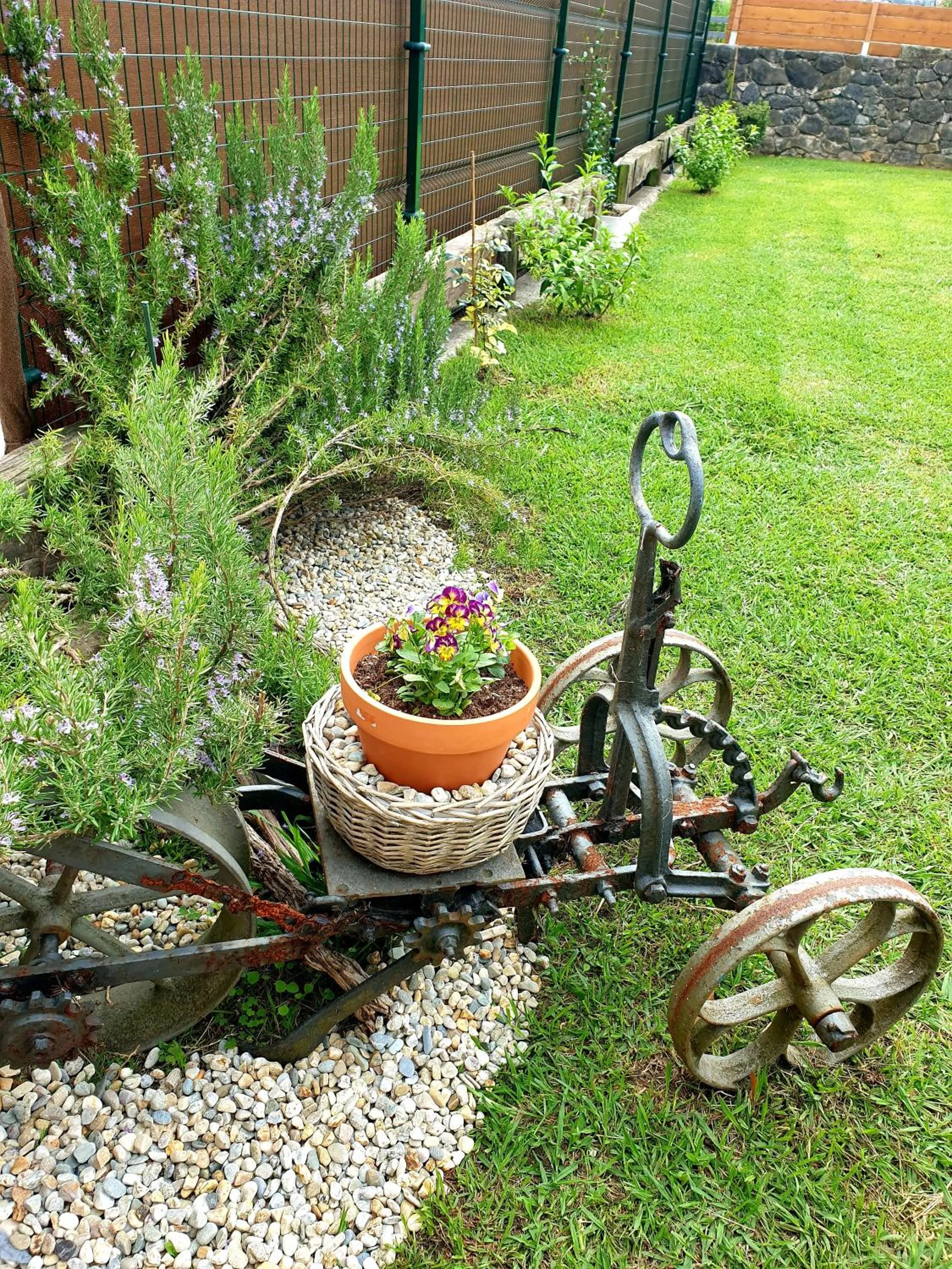 Garden in Hotel Finca Alcamino
