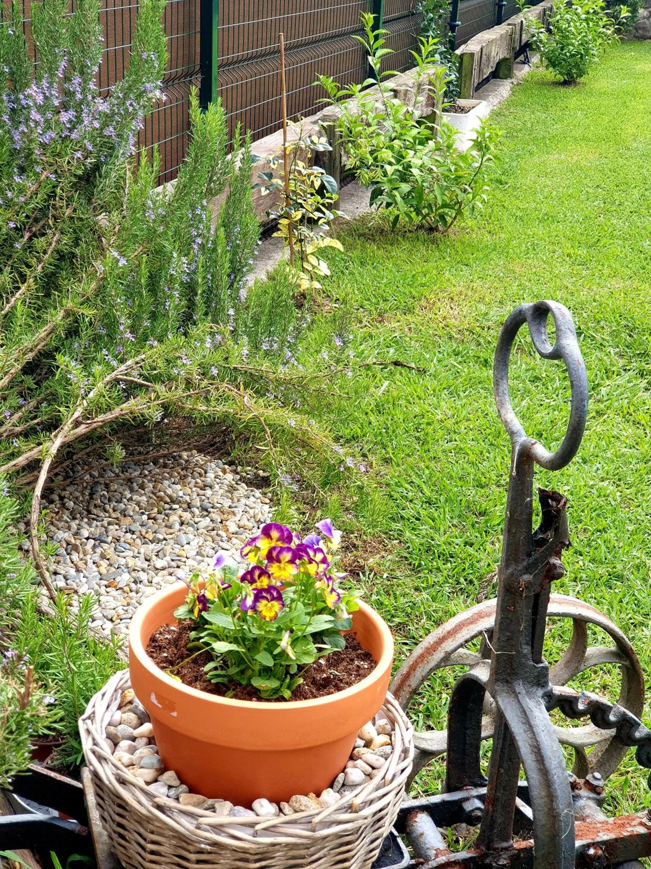Garden in Hotel Finca Alcamino