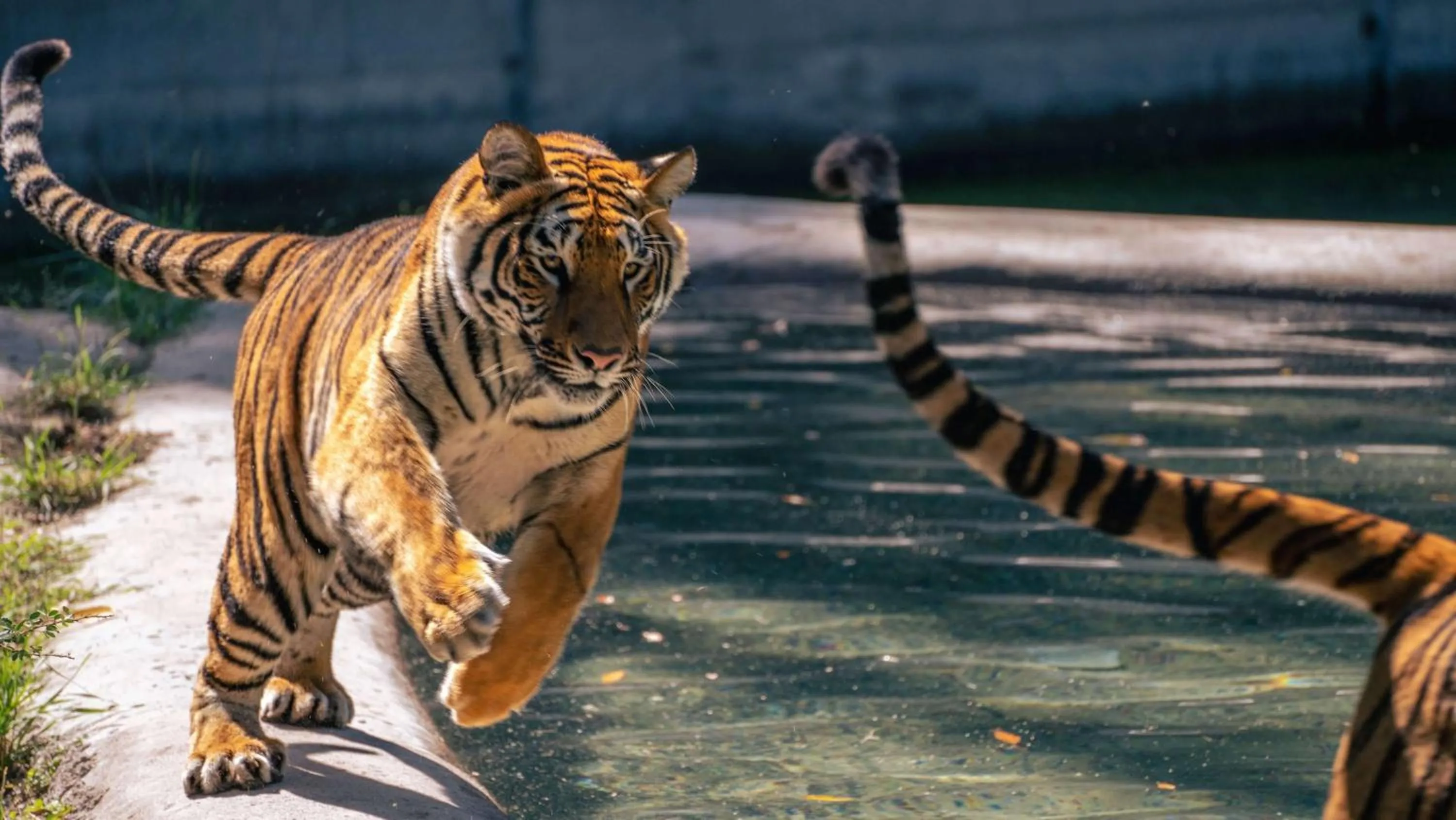 Nearby landmark in Staybridge Suites - Guadalajara Novena by IHG