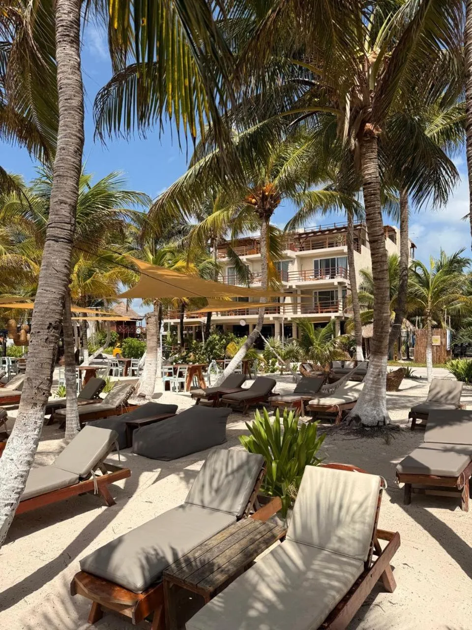 Restaurant/places to eat in Noah Beach Hotel & Suites