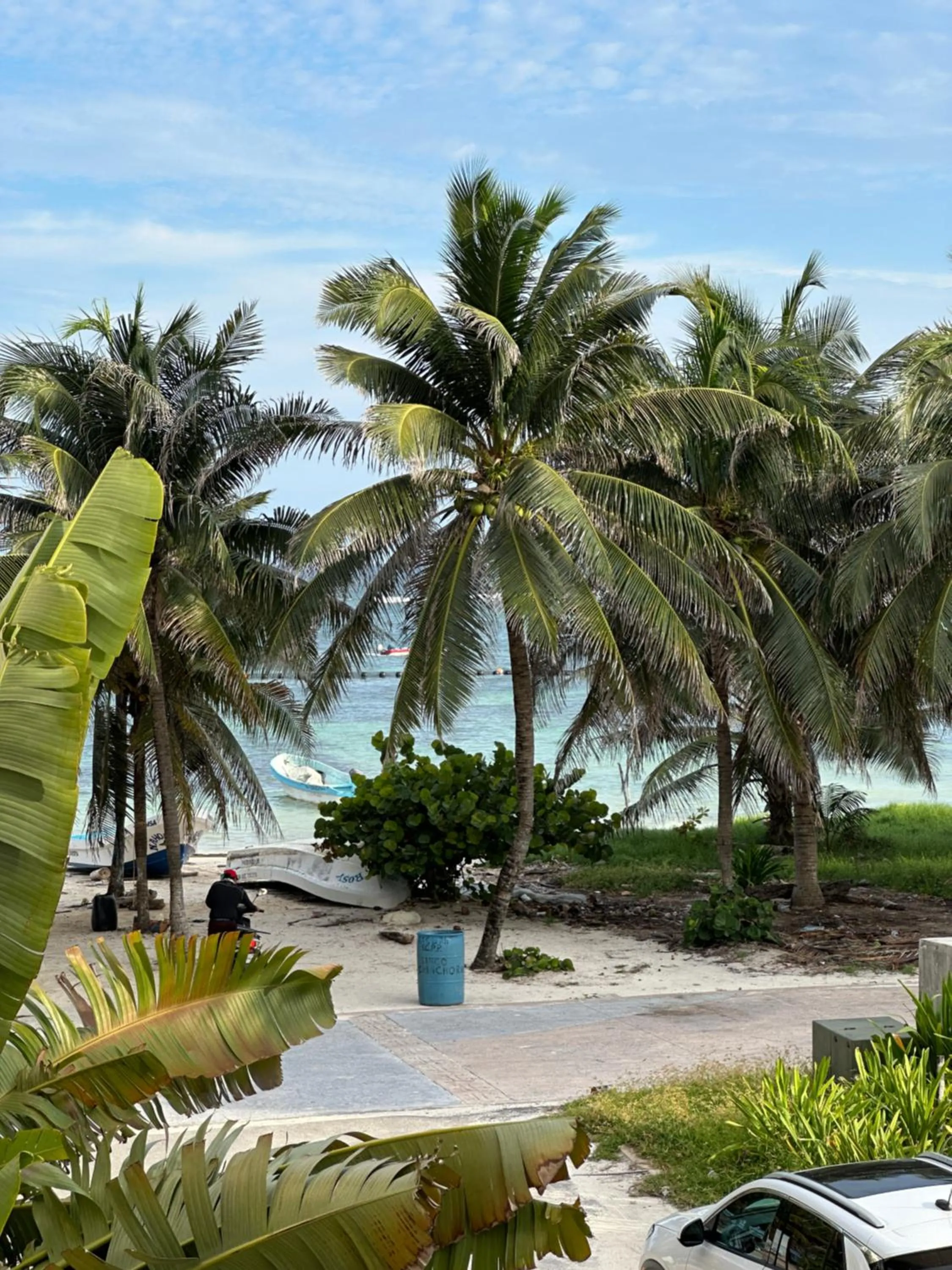 Natural landscape in Noah Beach Hotel & Suites