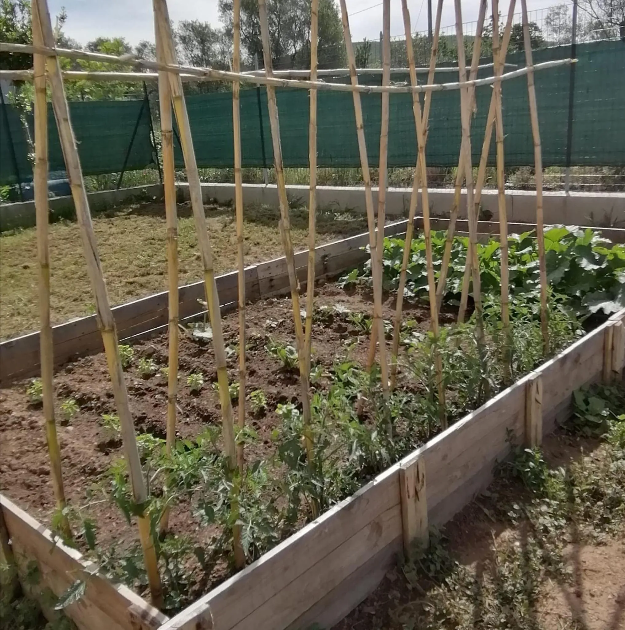 Affittacamere Come a Casa