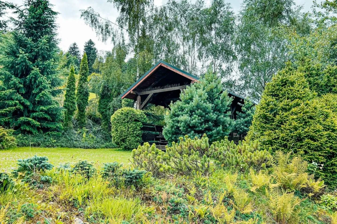 Day in Przystanek Góry