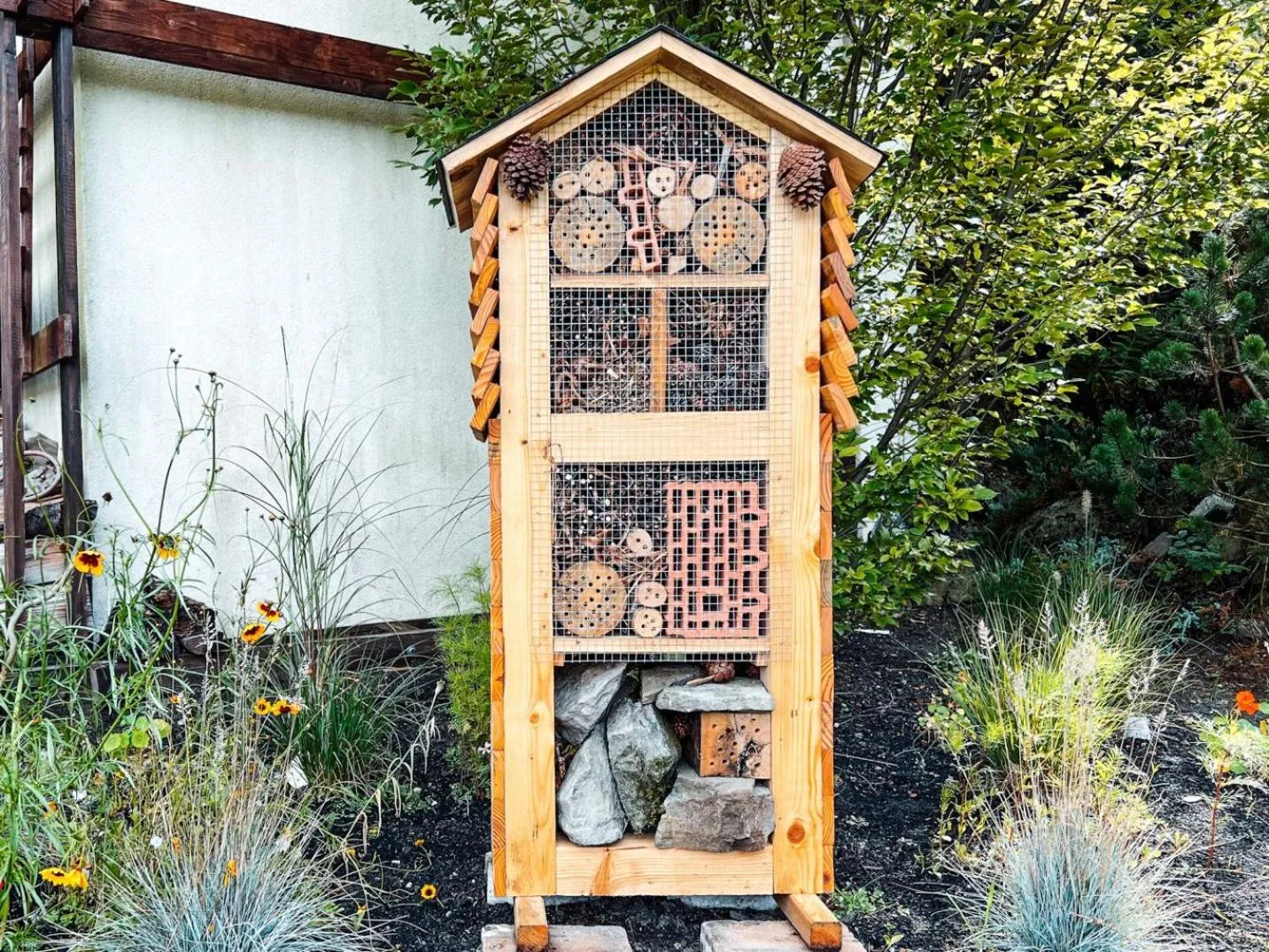 Day in Przystanek Góry