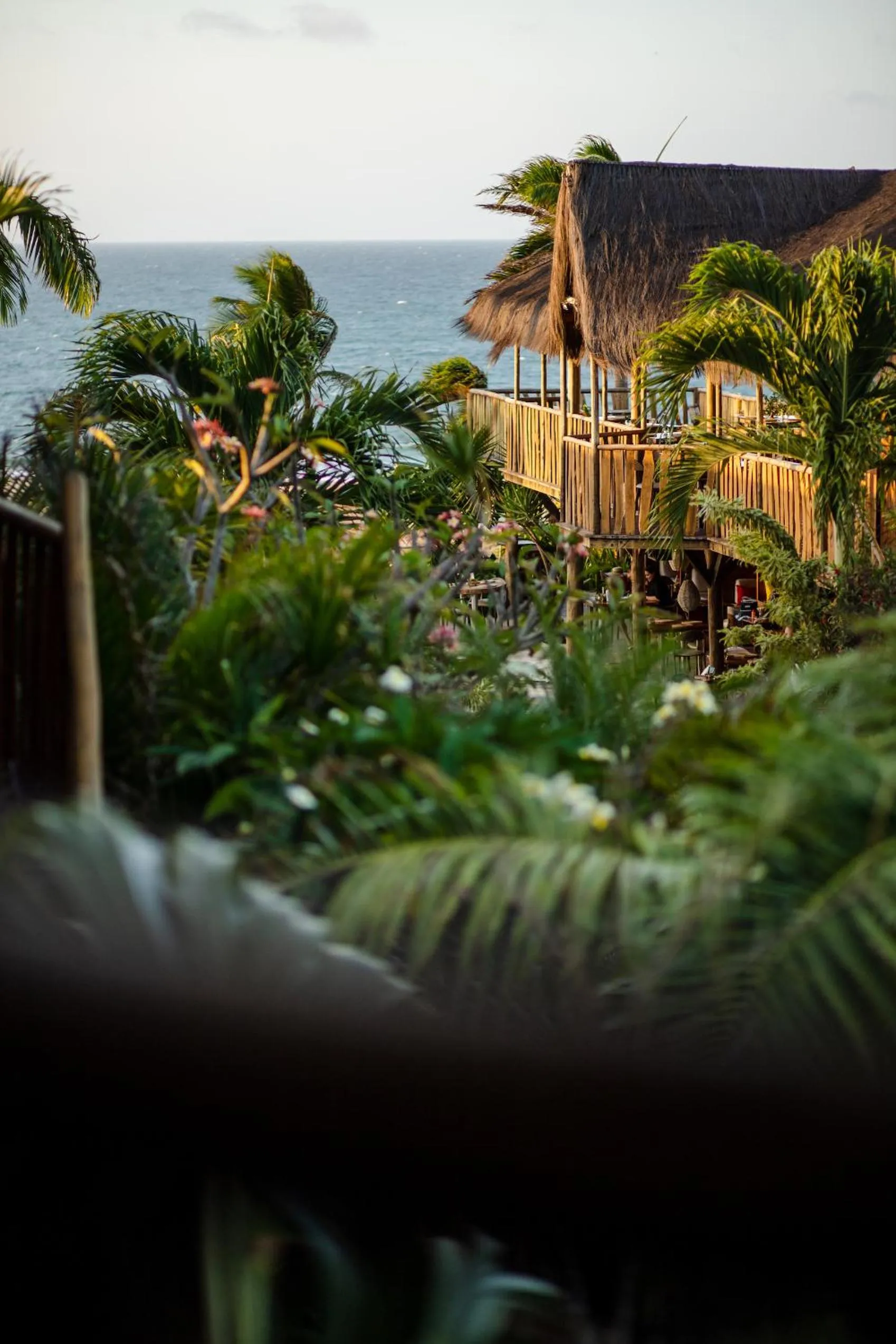Bird's eye view in Hurricane Jeri