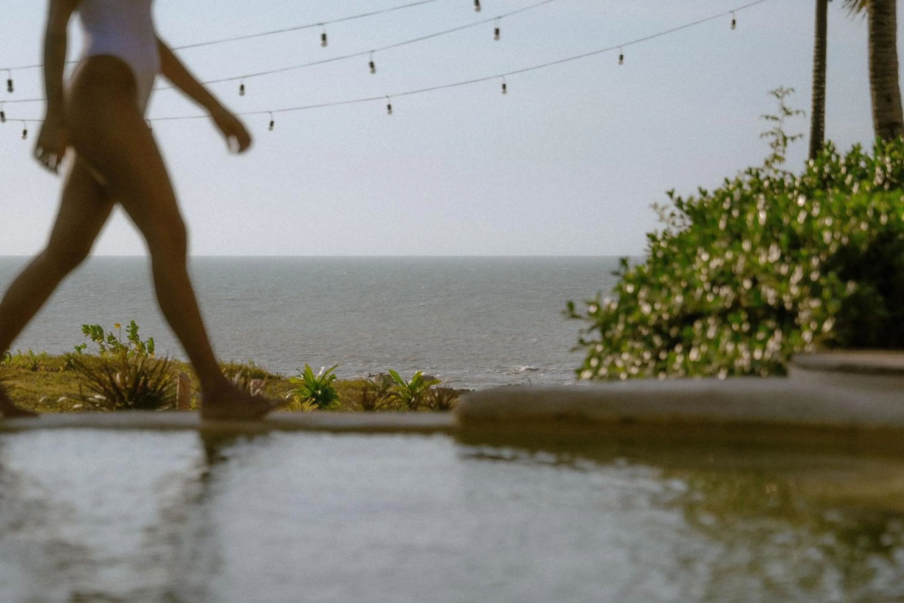 Spring in Hurricane Jeri