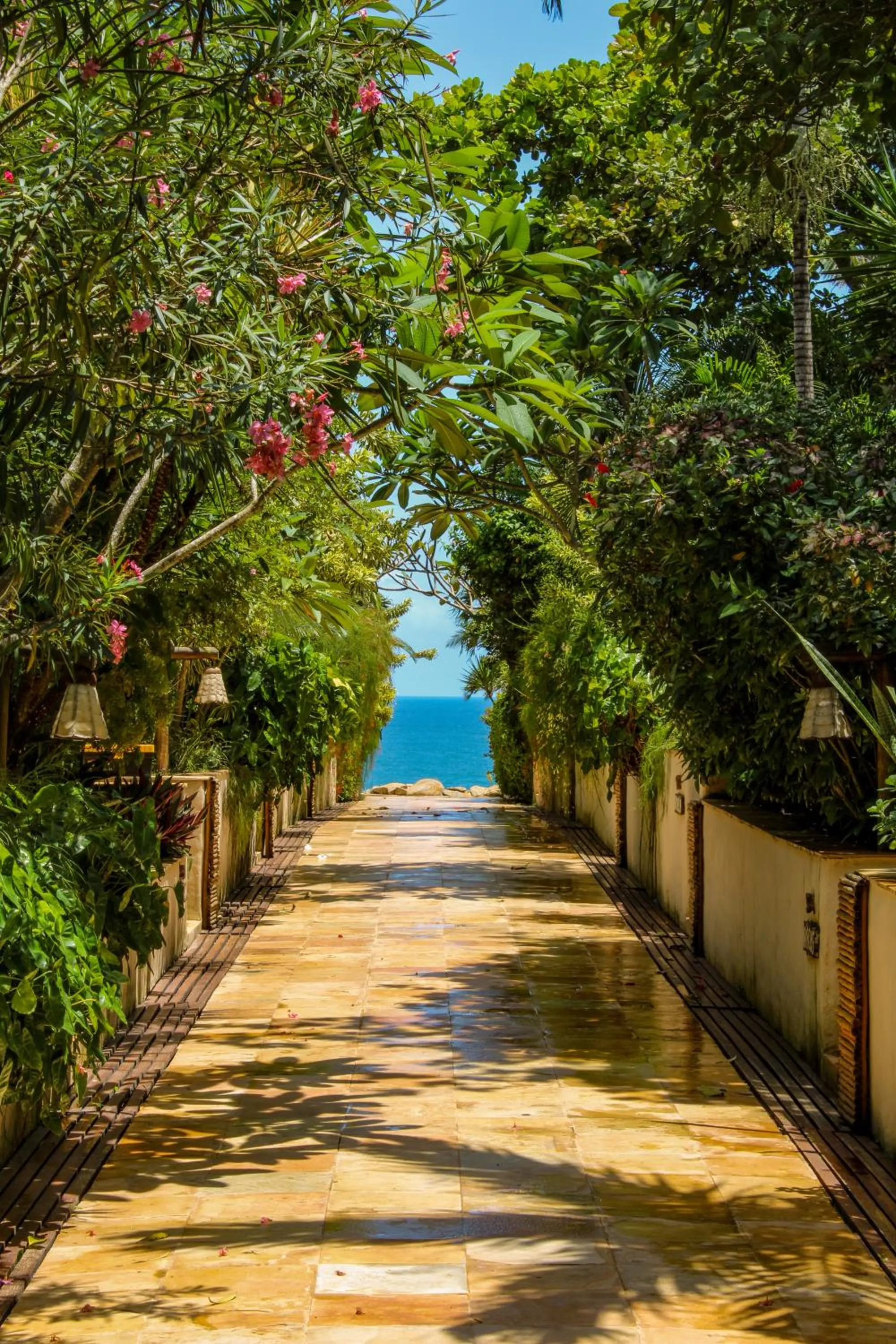 Spring in Hurricane Jeri