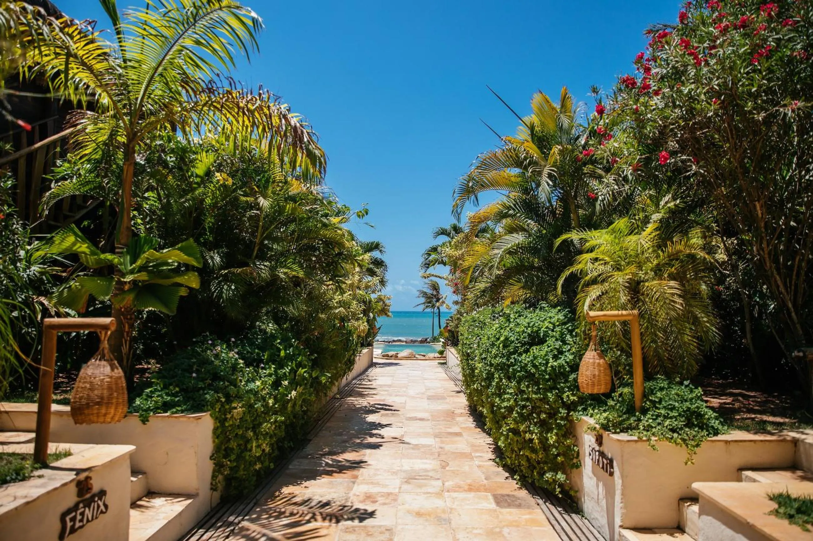 Garden in Hurricane Jeri