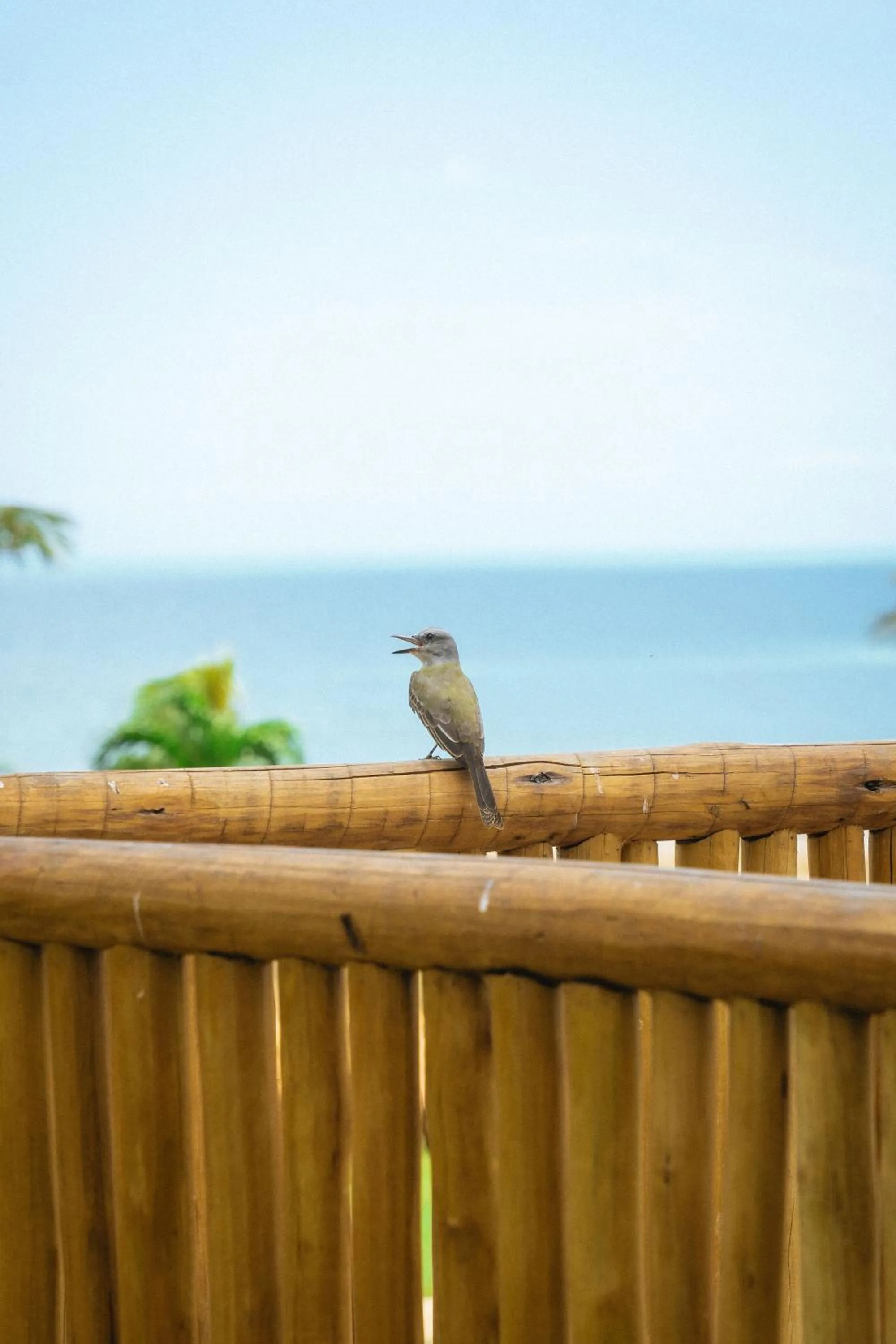 Day in Hurricane Jeri