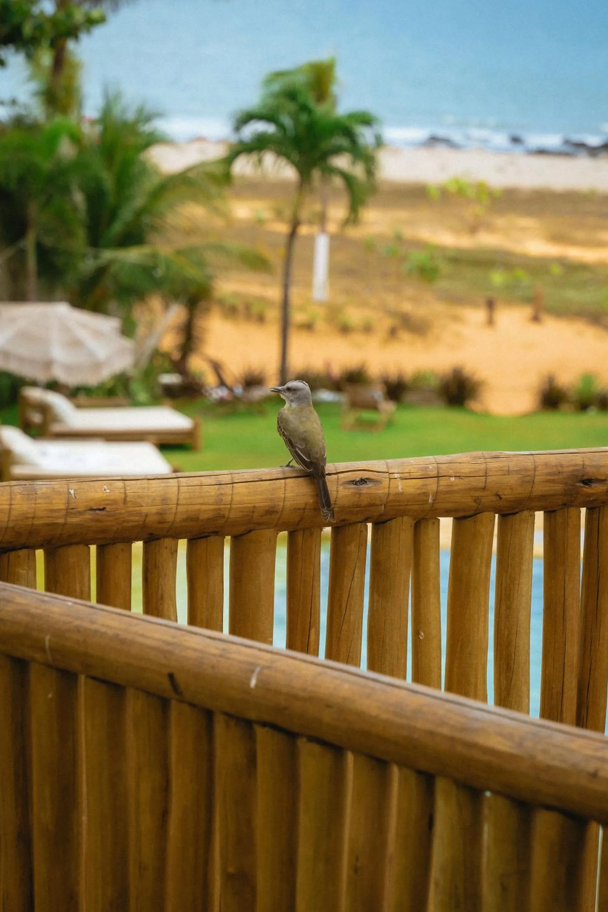 Day in Hurricane Jeri