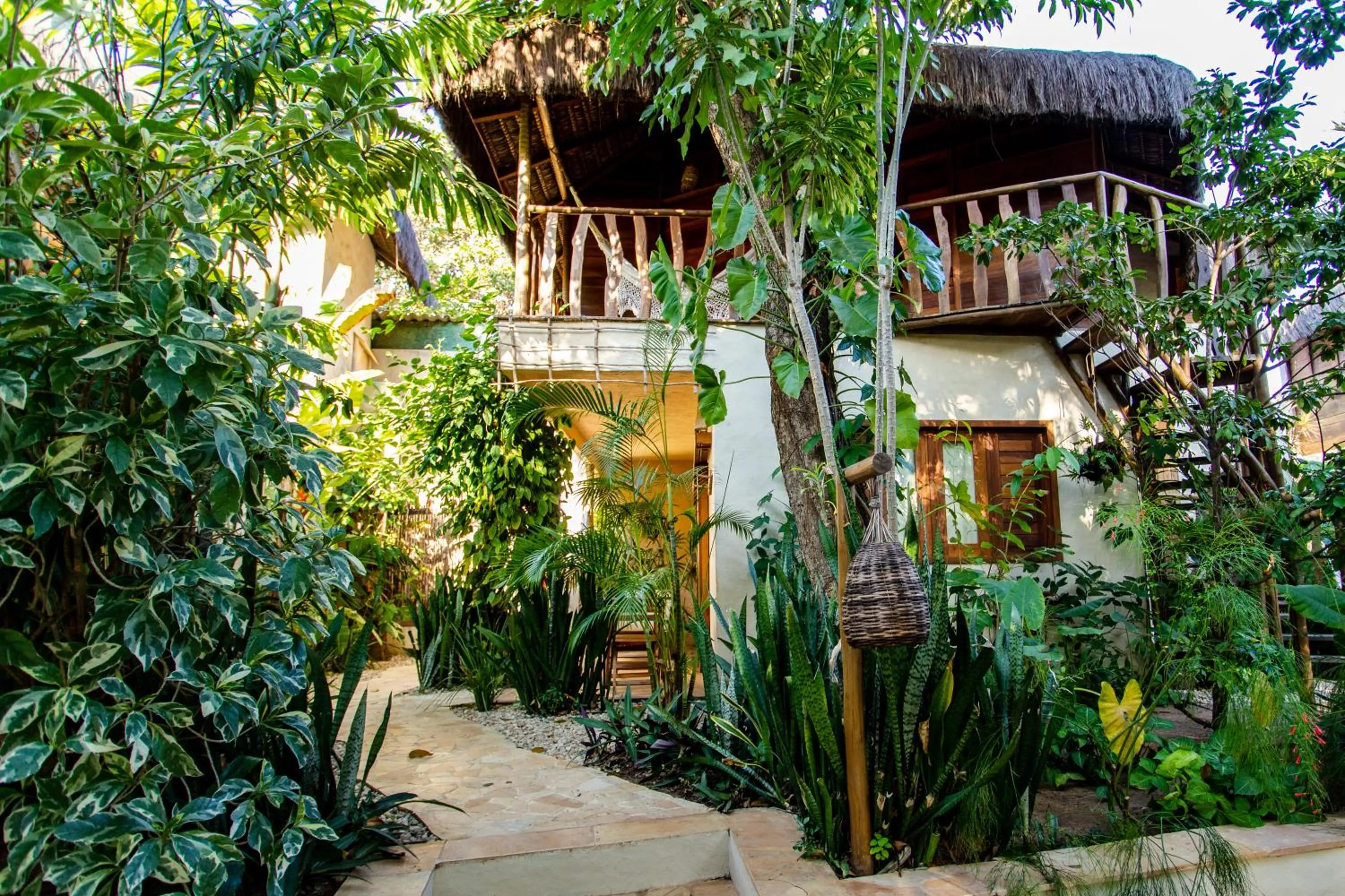 Property building in Hurricane Jeri