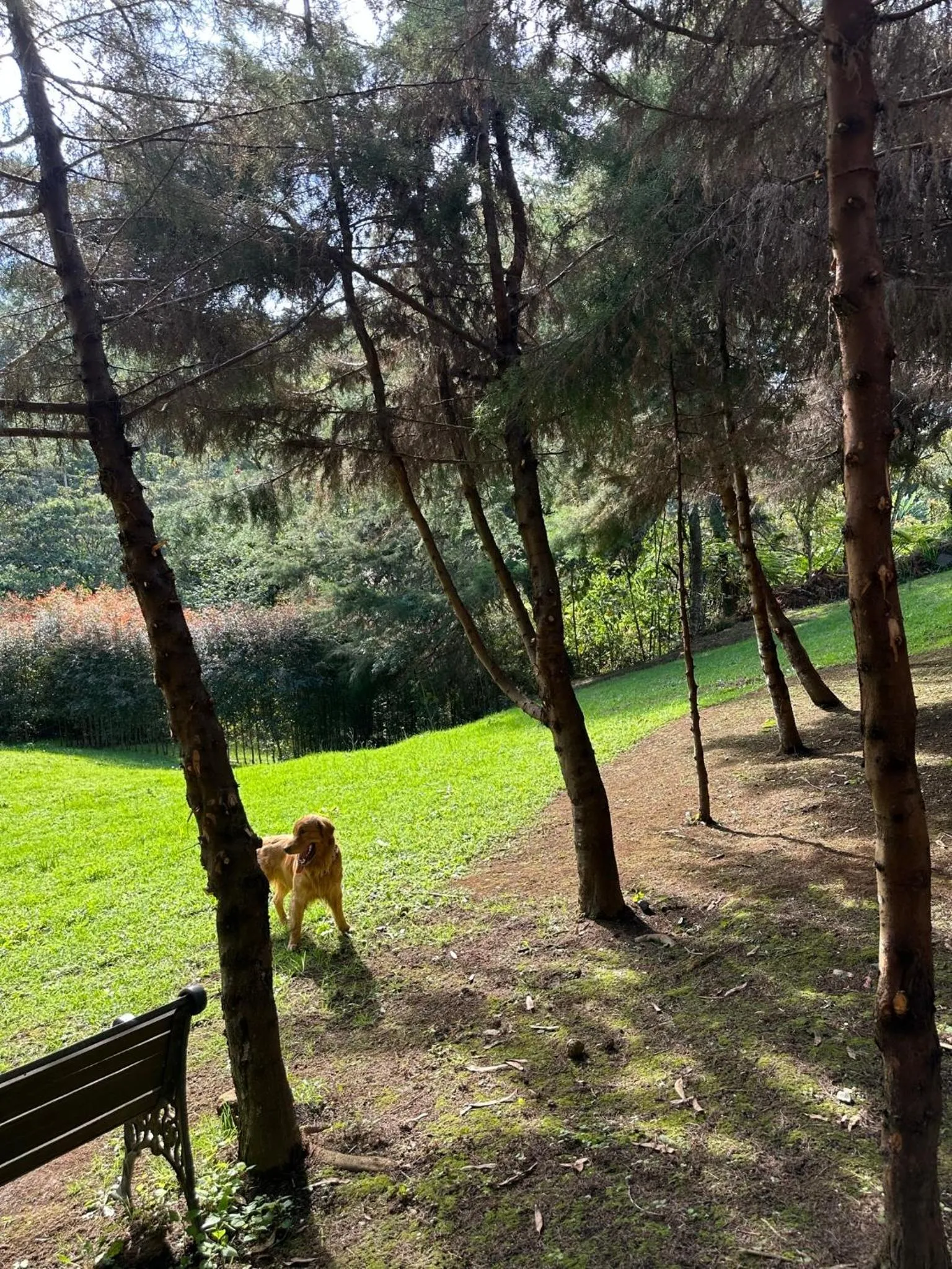 Natural landscape in Eco Hotel Terrabella