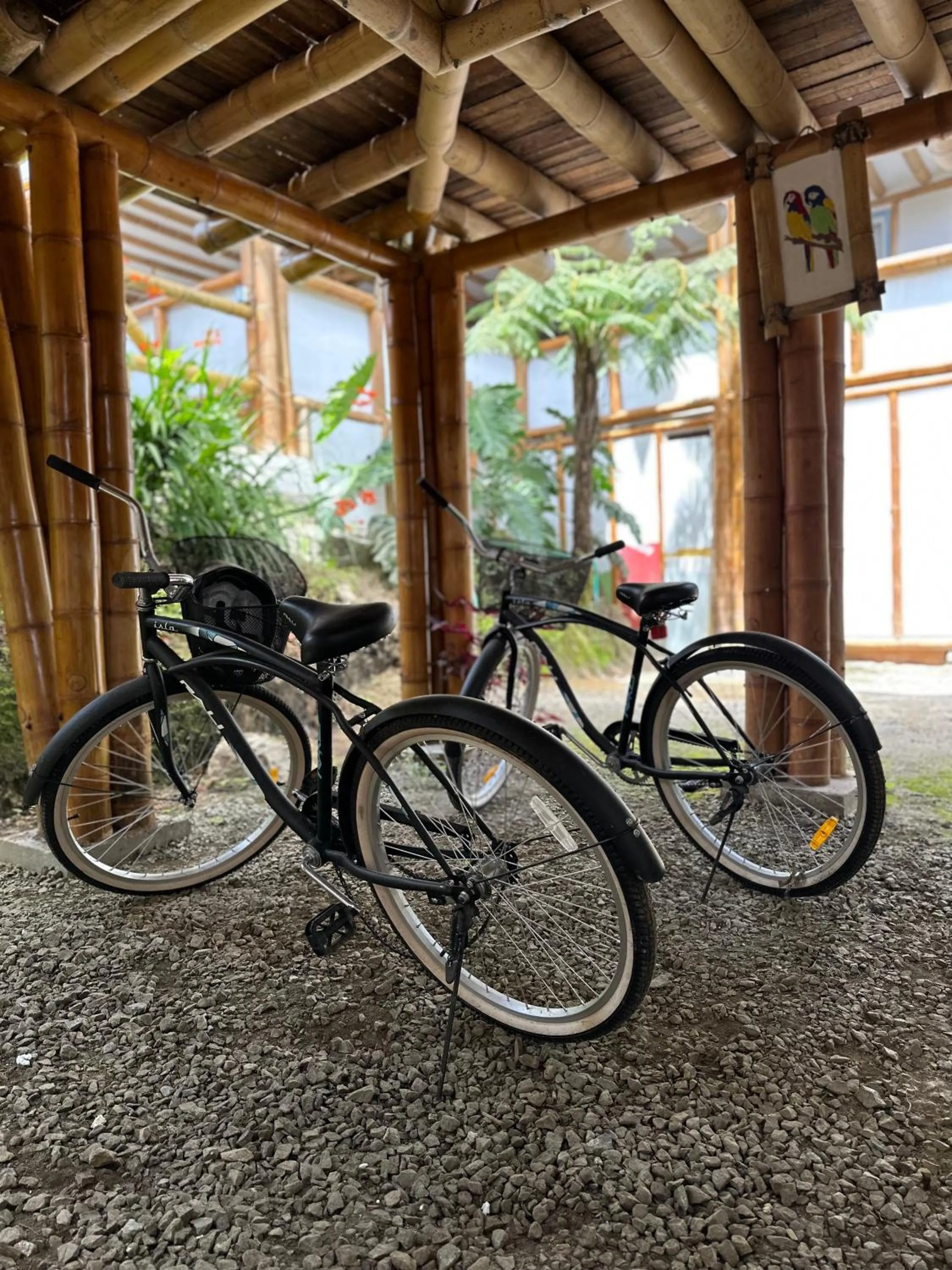 Cycling in Eco Hotel Terrabella