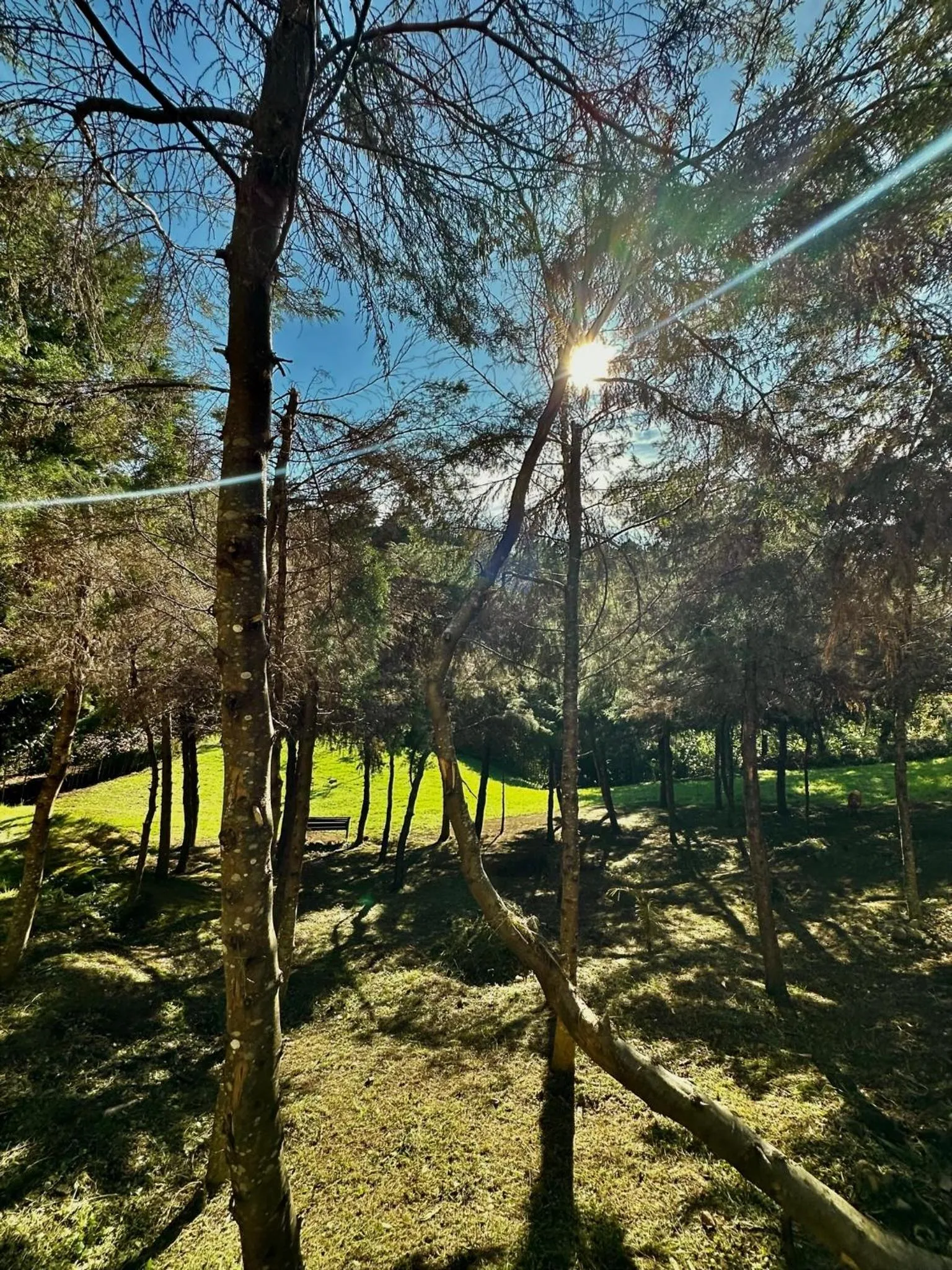 Natural landscape in Eco Hotel Terrabella