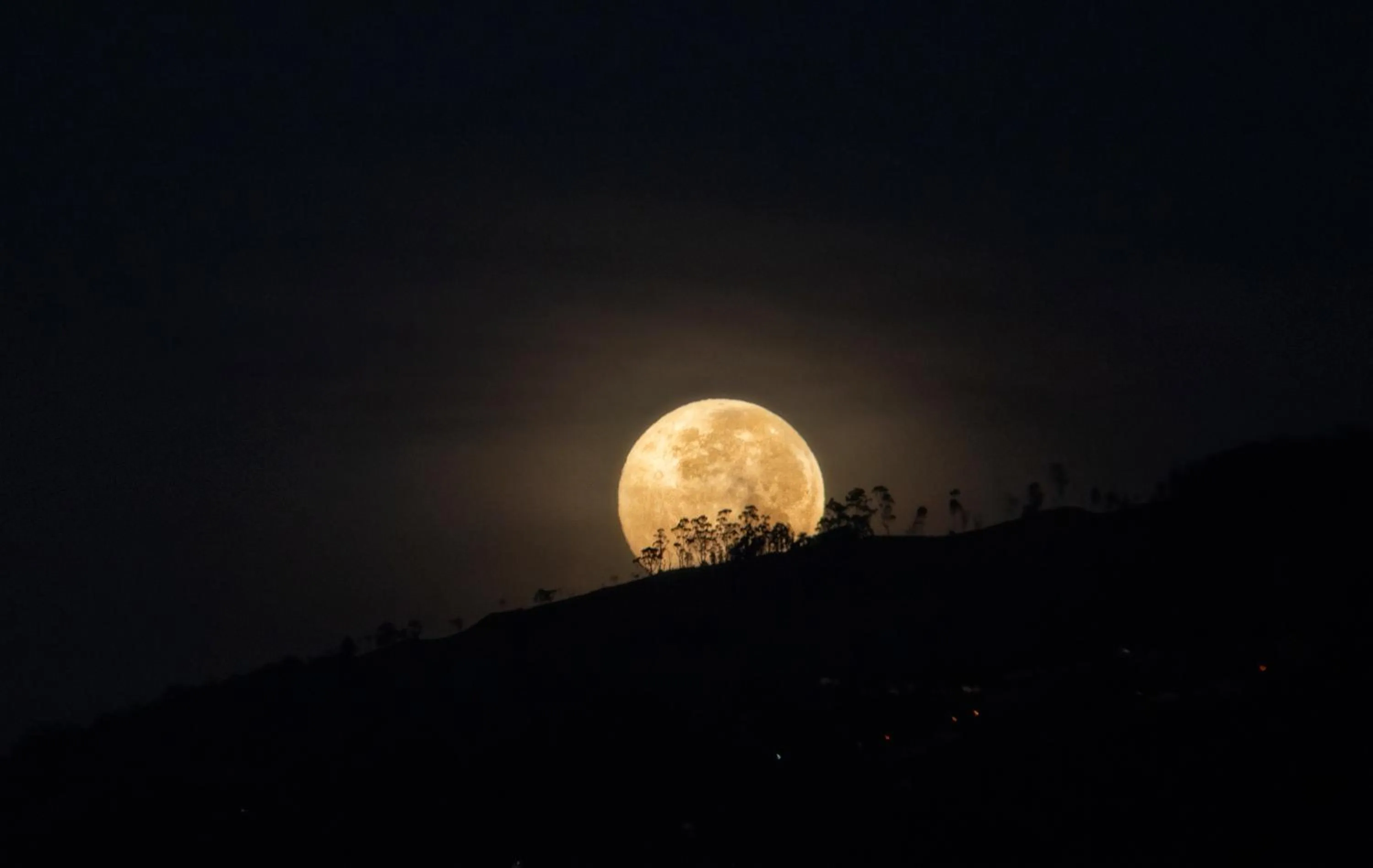 Natural landscape in Eco Hotel Terrabella