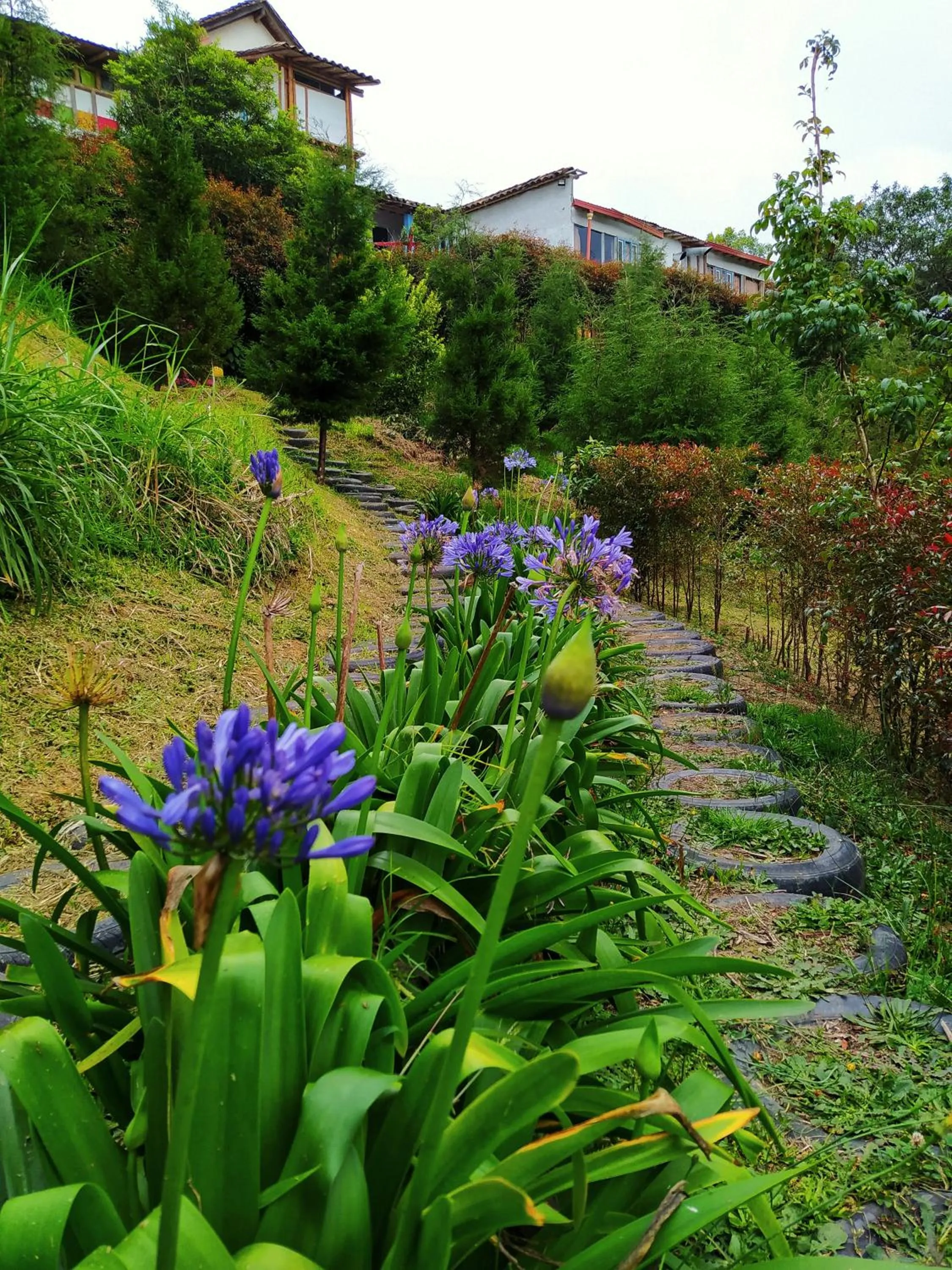Garden in Eco Hotel Terrabella