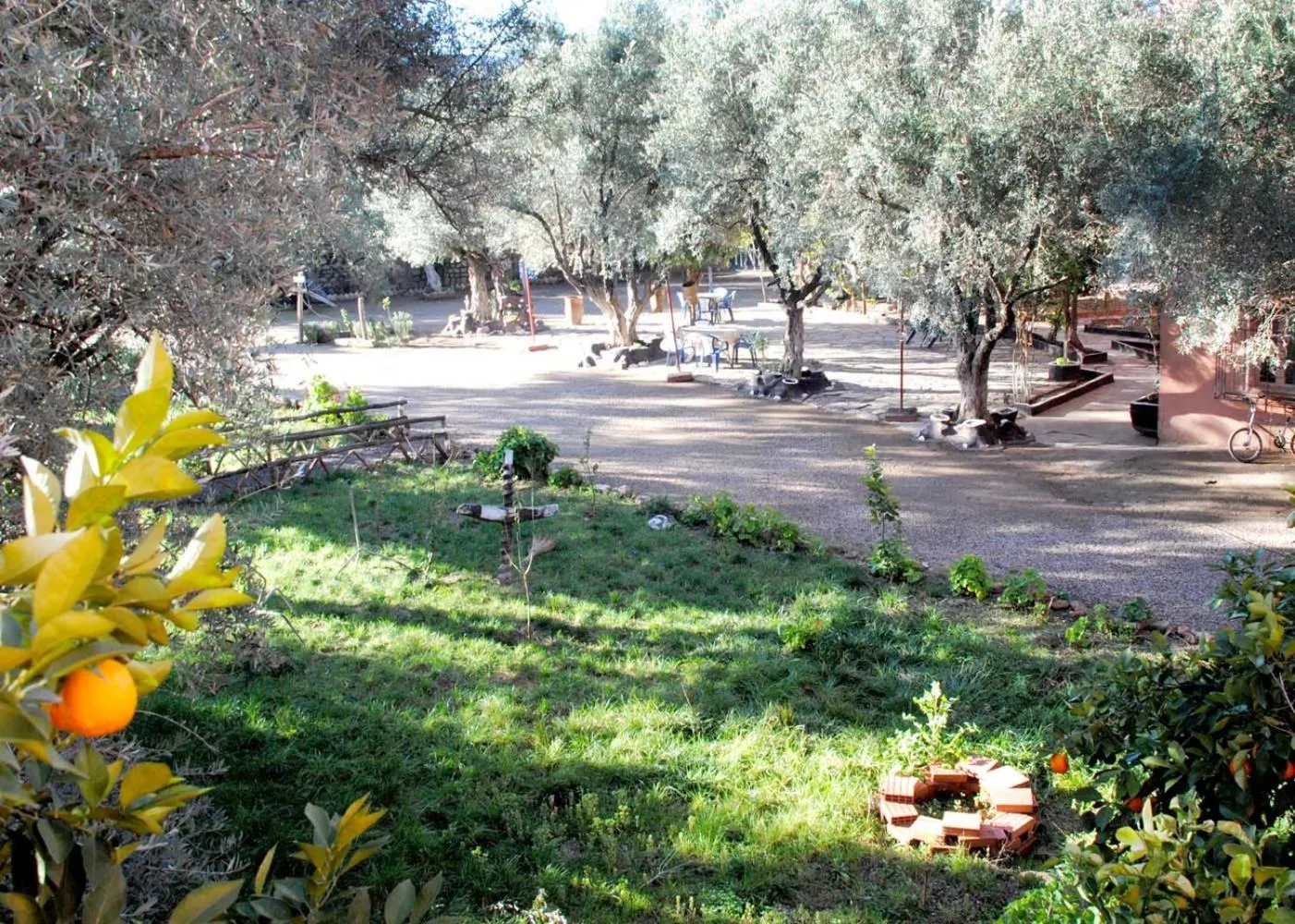 Garden in Hotel France Ouzoud